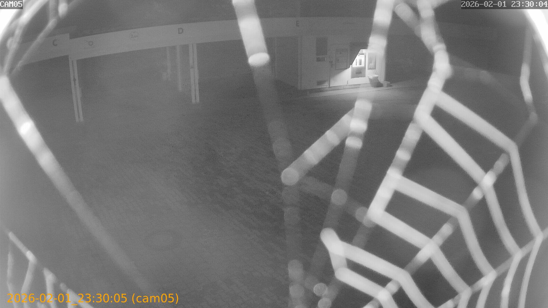 thumbnail_20260201233005