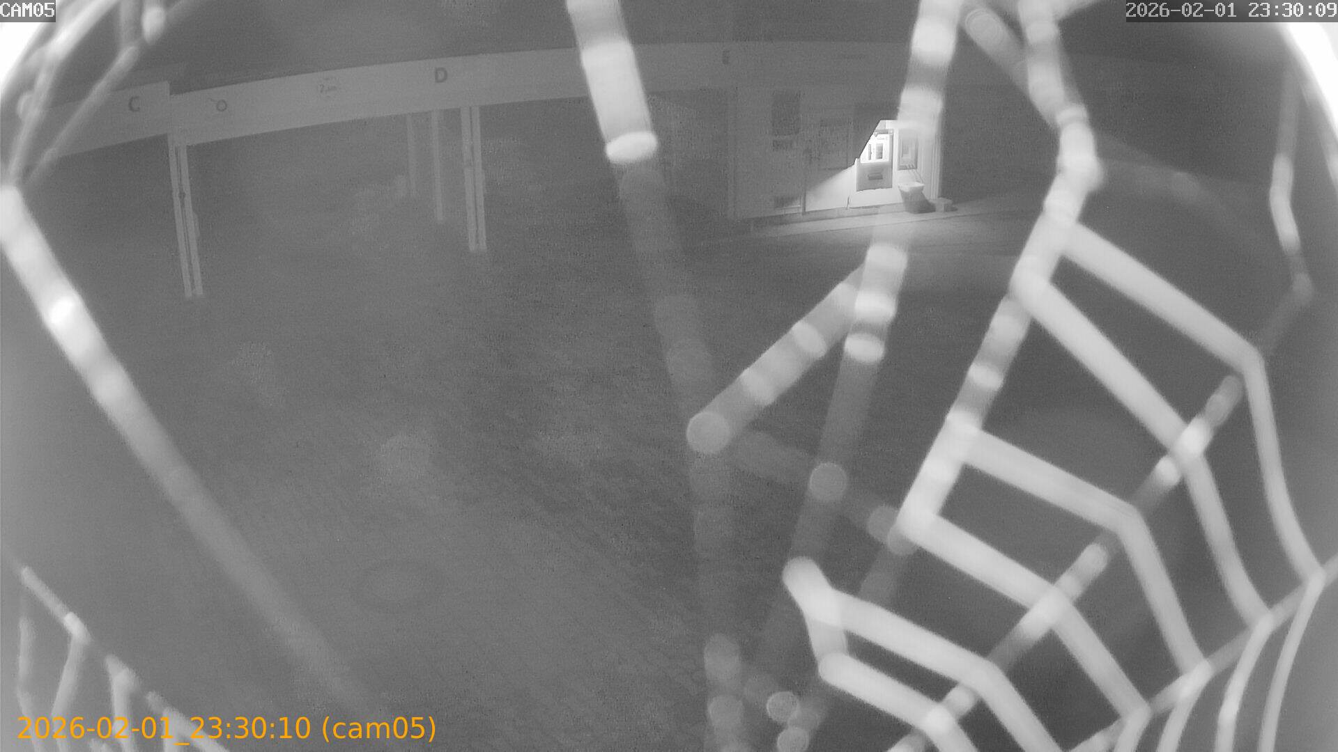 thumbnail_20260201233010