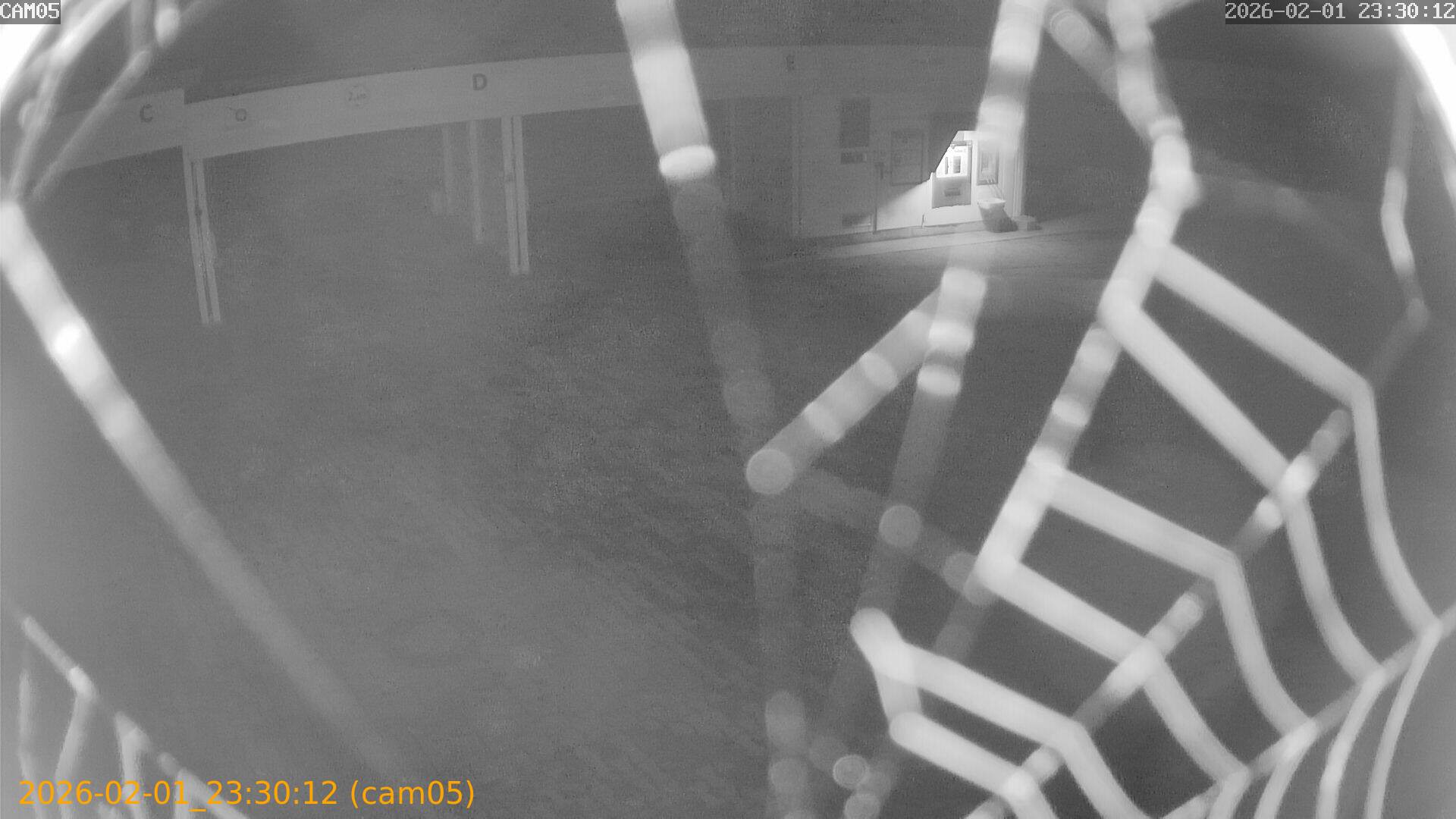 thumbnail_20260201233012