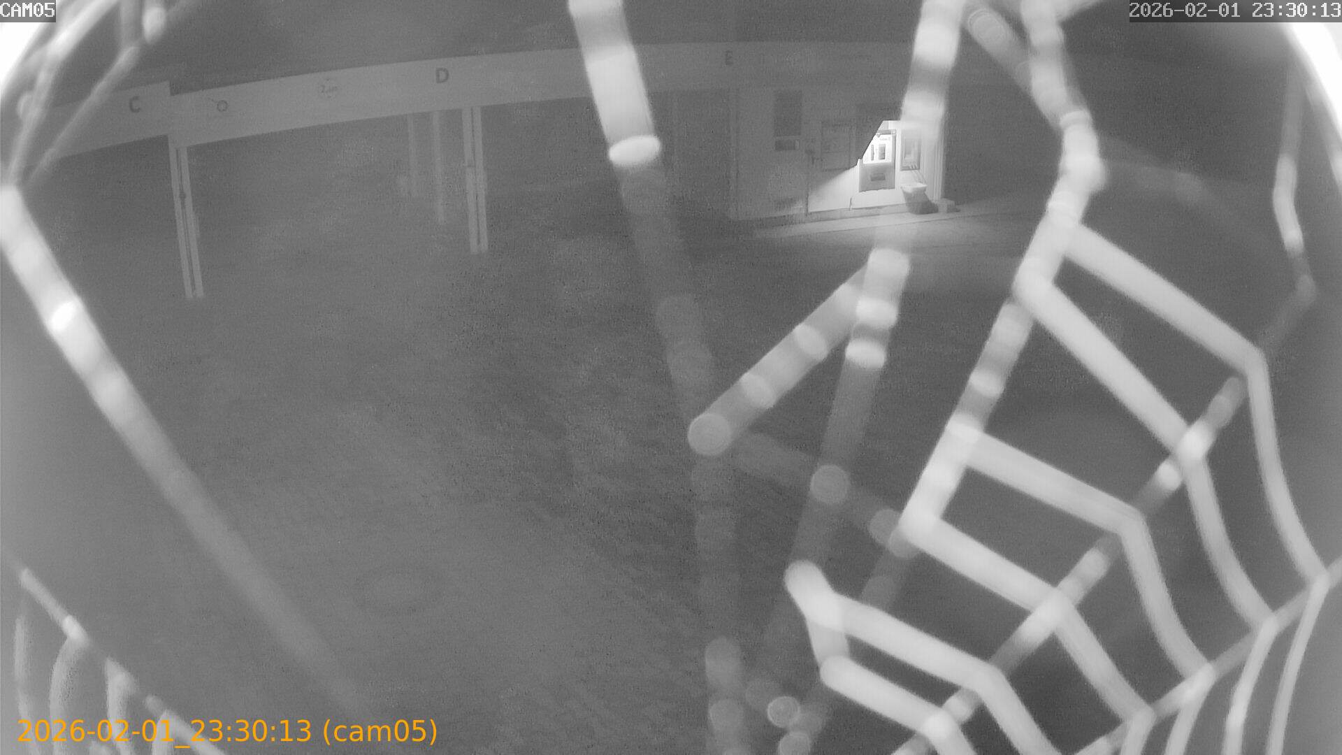 thumbnail_20260201233013