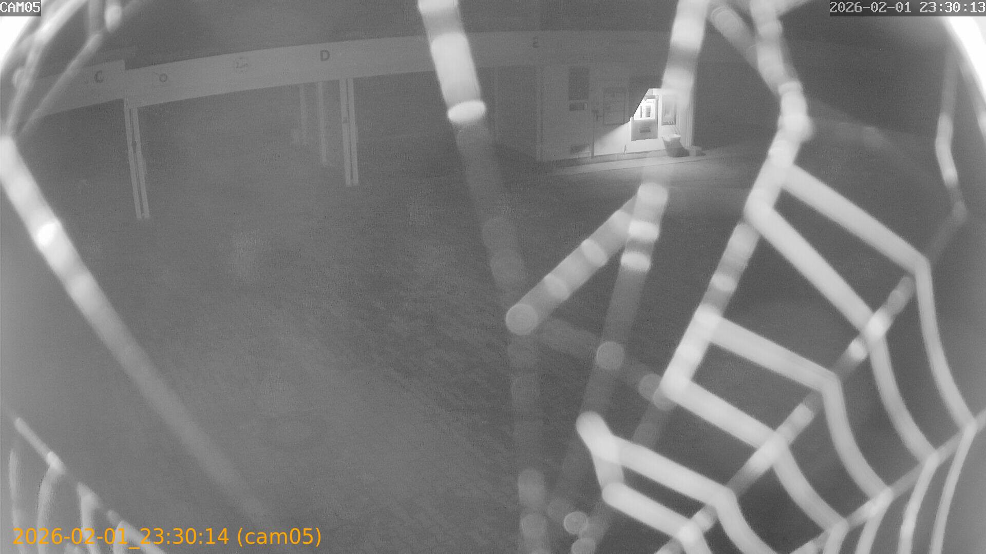 thumbnail_20260201233014