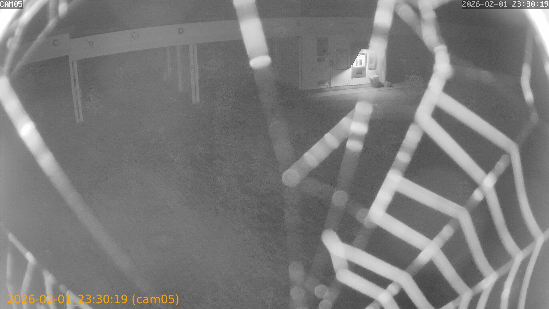 thumbnail_20260201233019