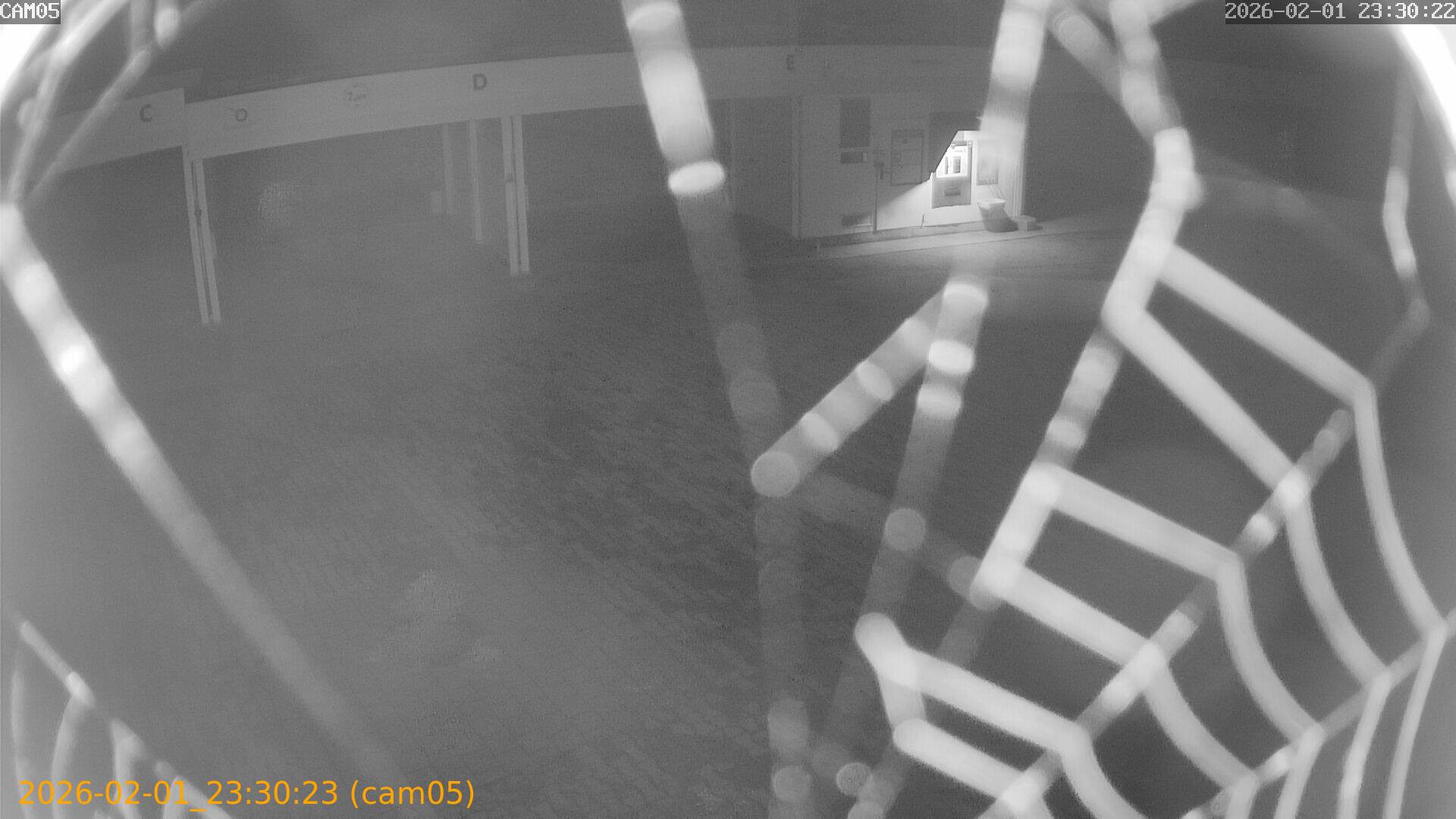 thumbnail_20260201233023