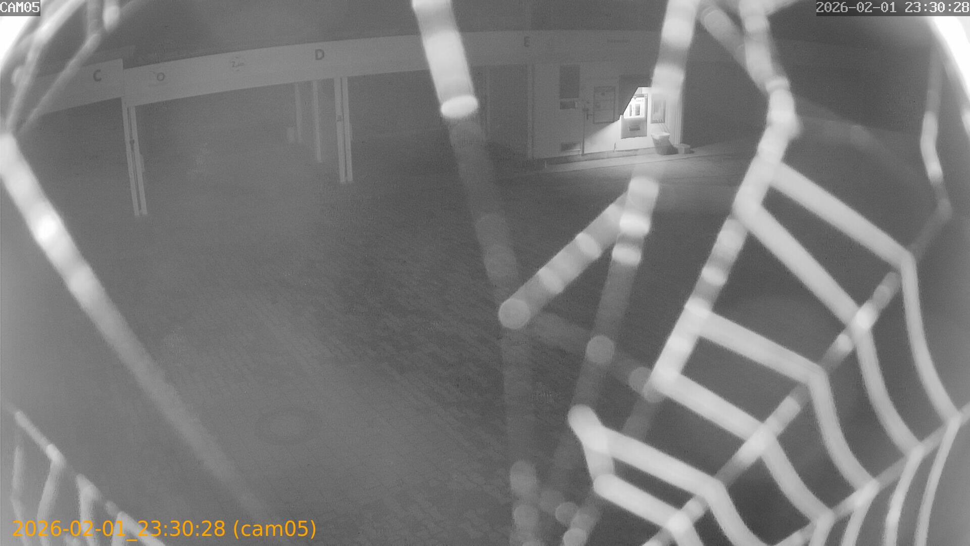 thumbnail_20260201233028