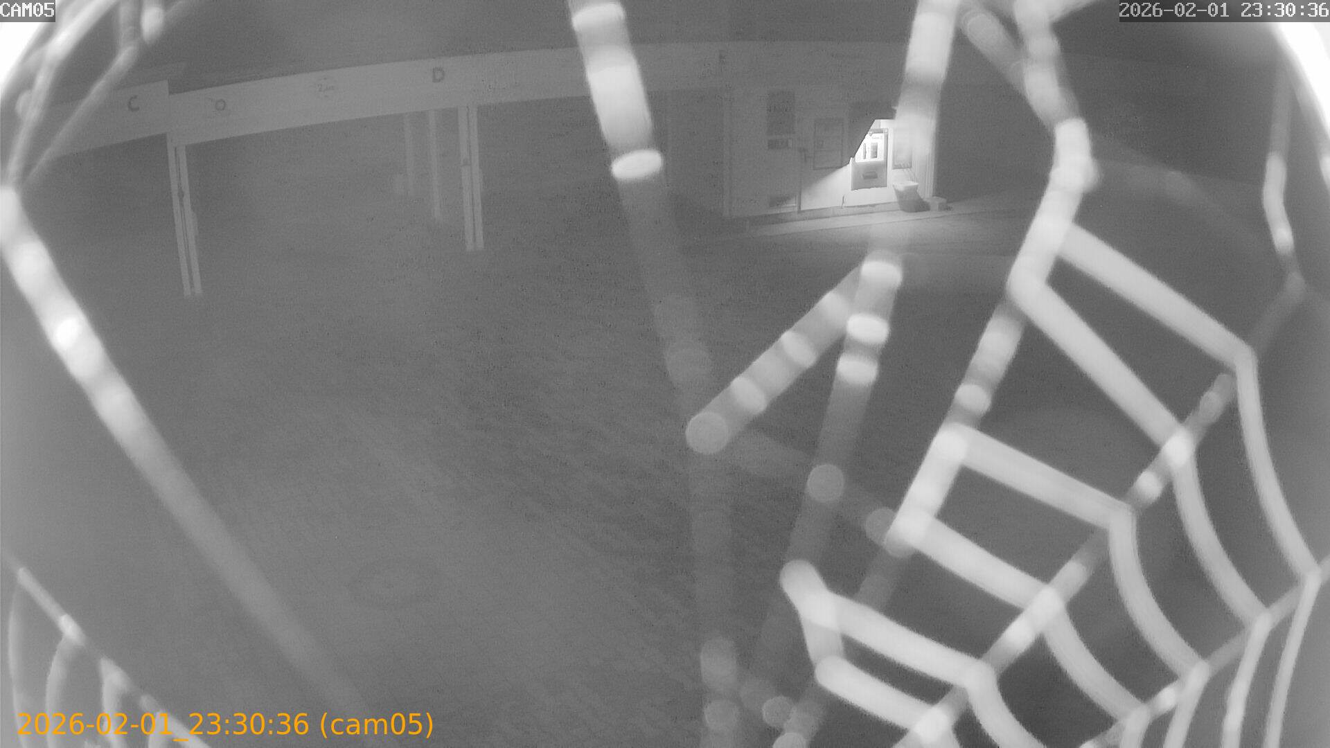 thumbnail_20260201233036