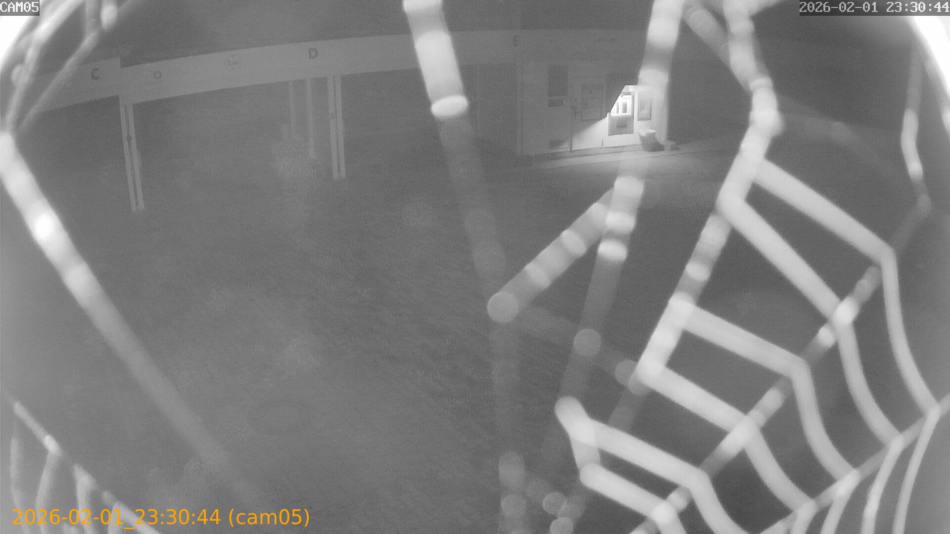 thumbnail_20260201233044