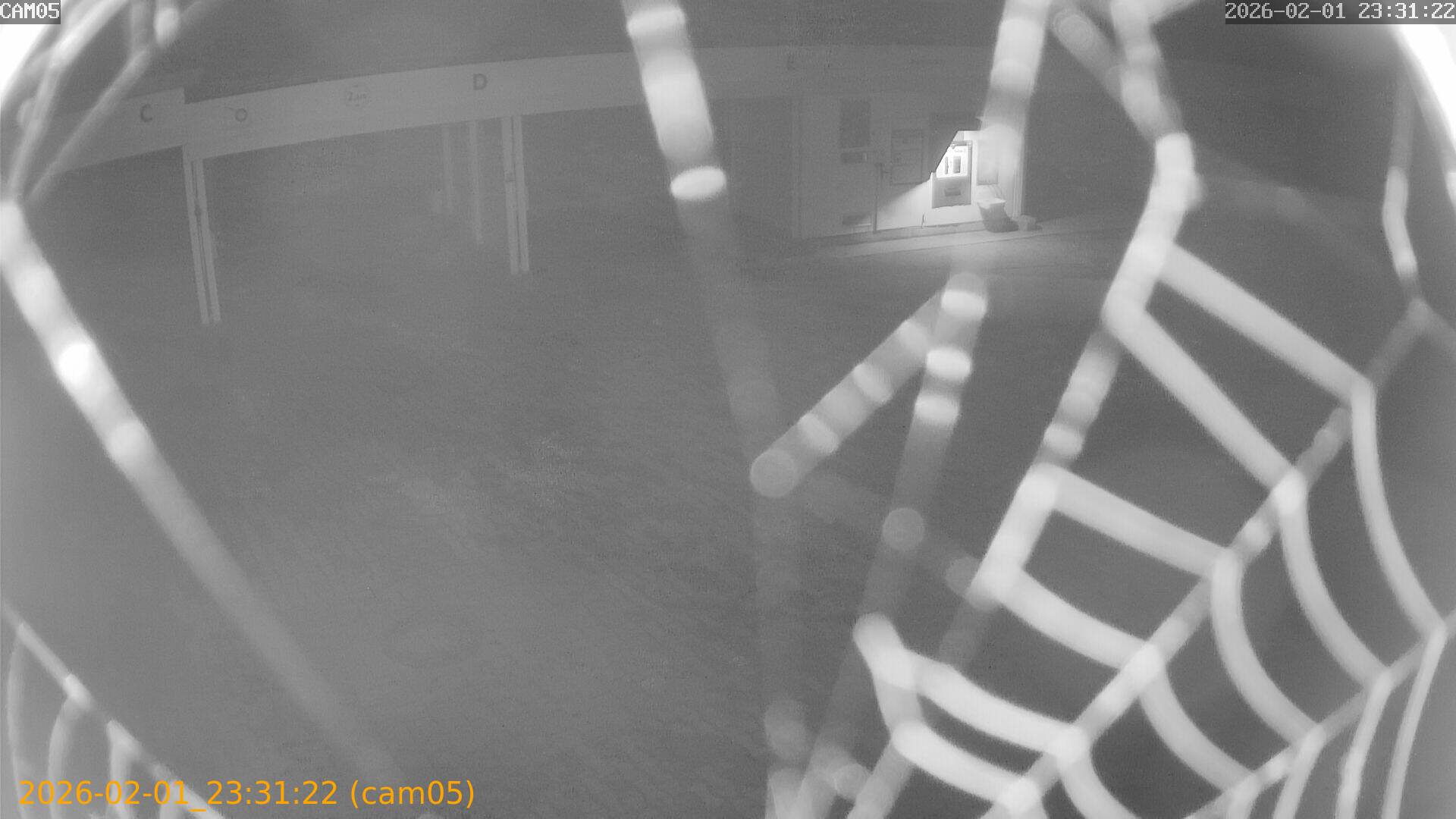 thumbnail_20260201233122