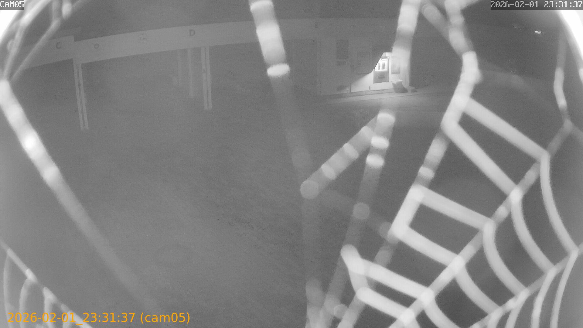 thumbnail_20260201233137