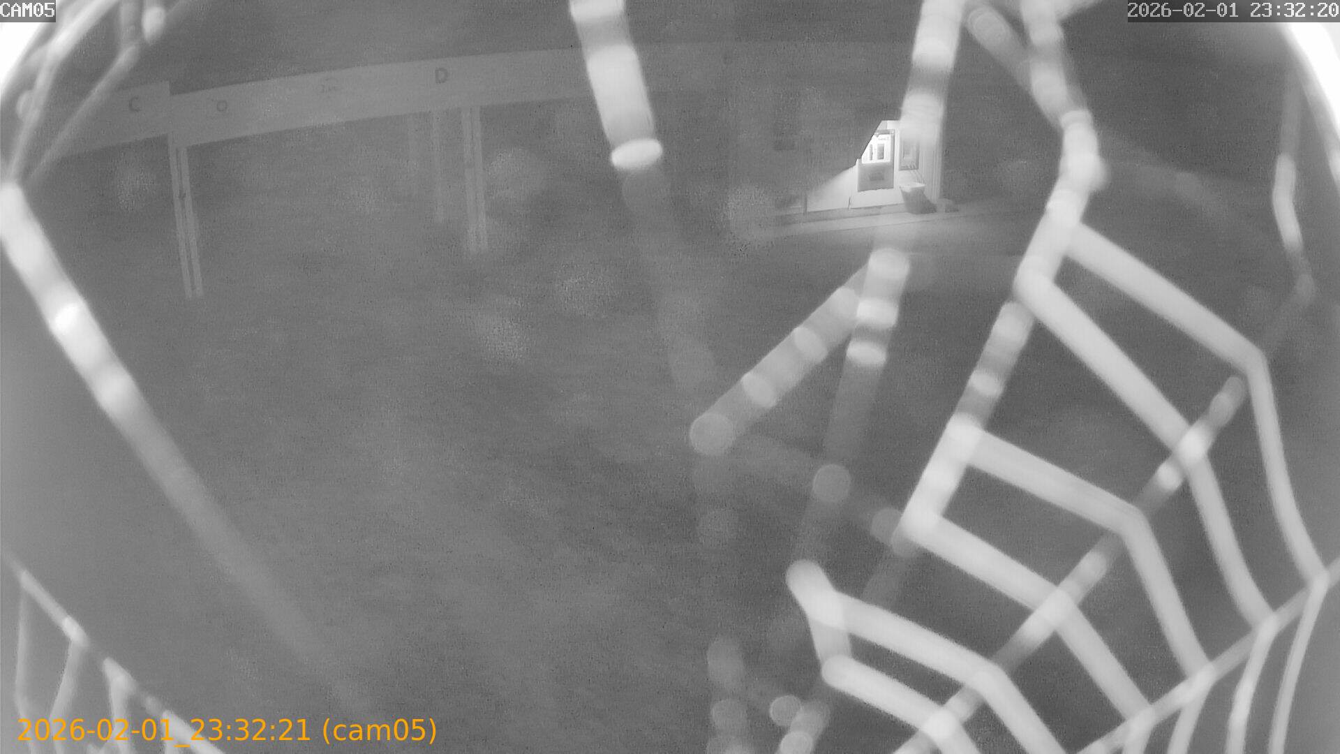 thumbnail_20260201233221