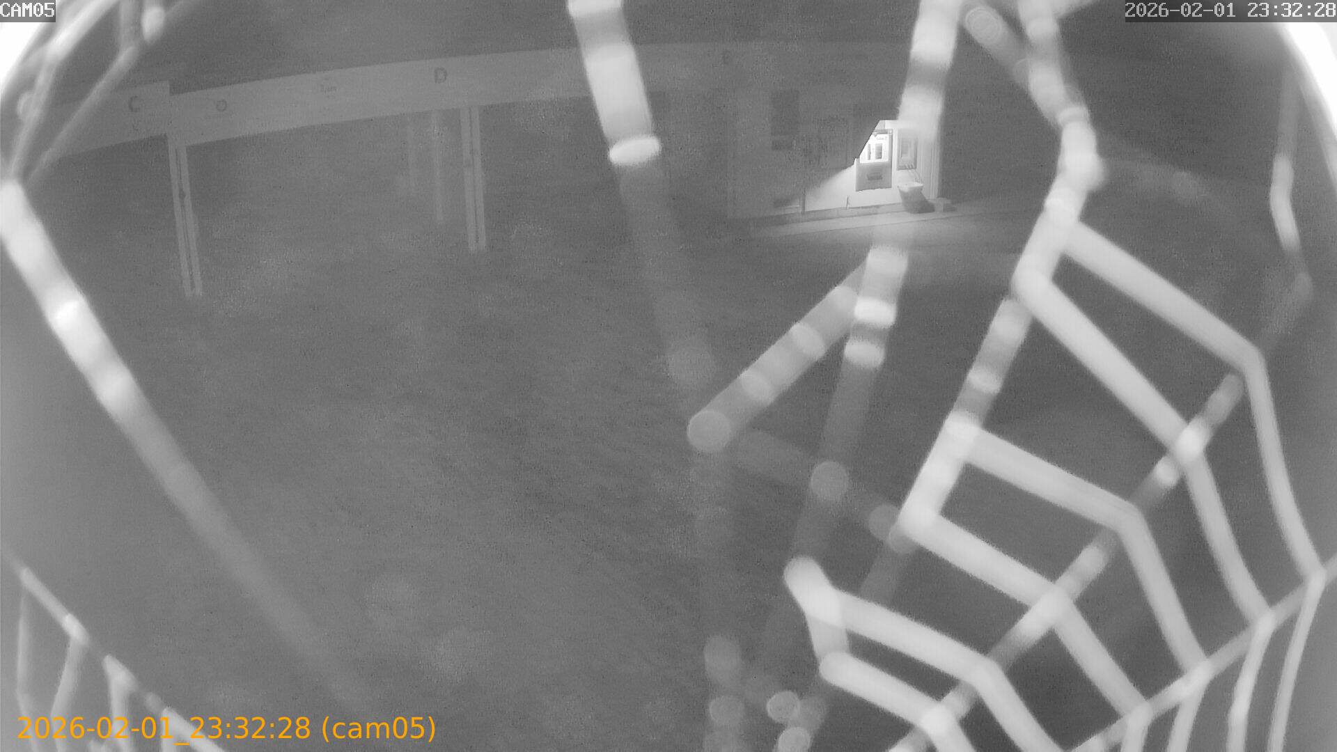 thumbnail_20260201233228