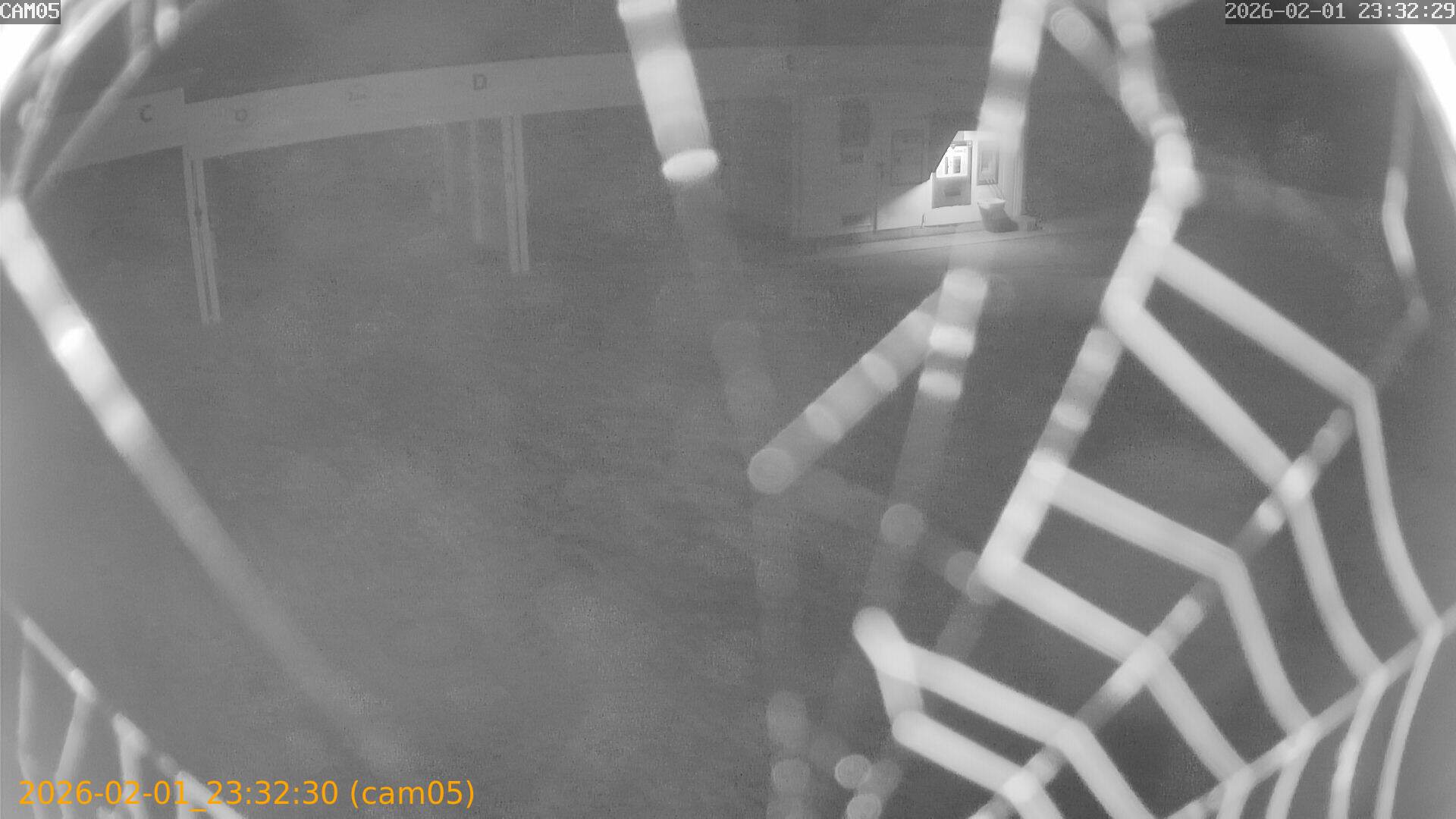 thumbnail_20260201233230