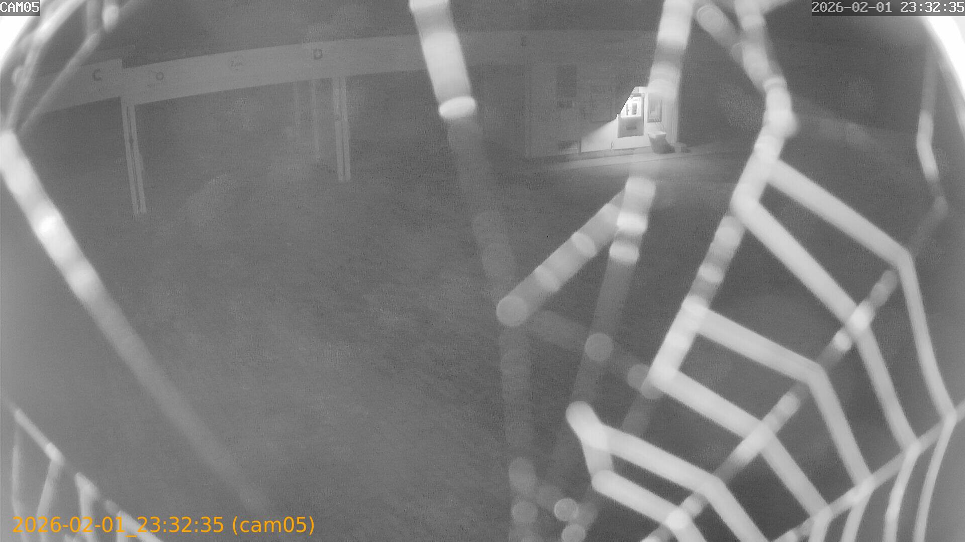 thumbnail_20260201233235