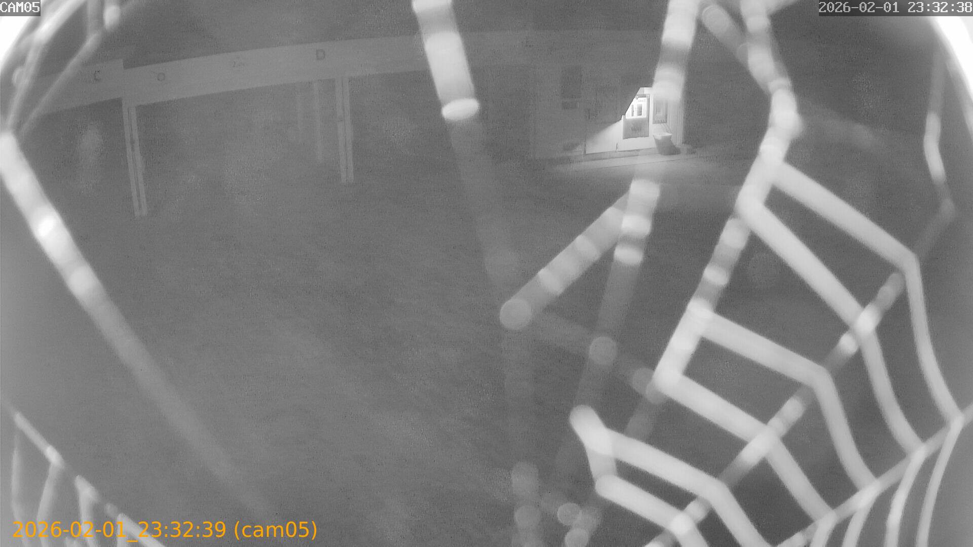 thumbnail_20260201233239