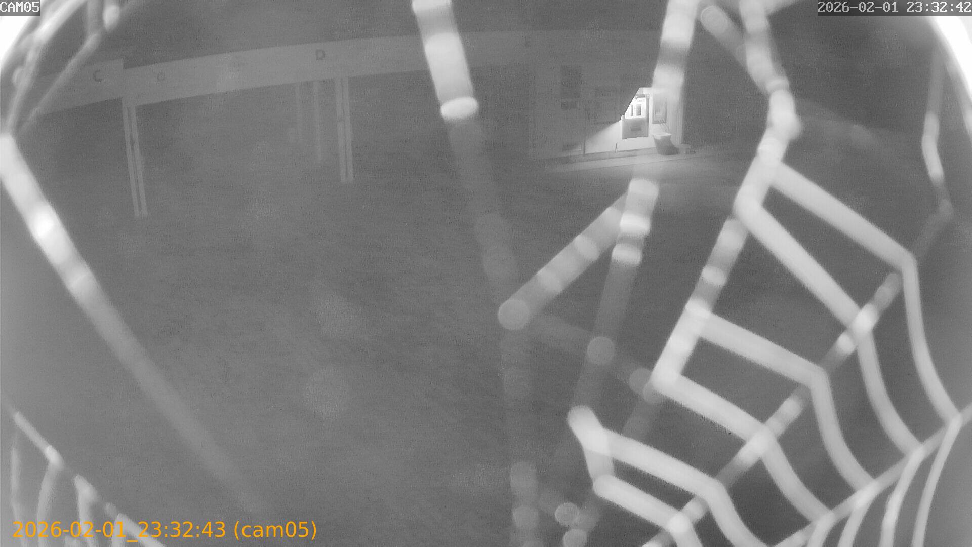 thumbnail_20260201233243