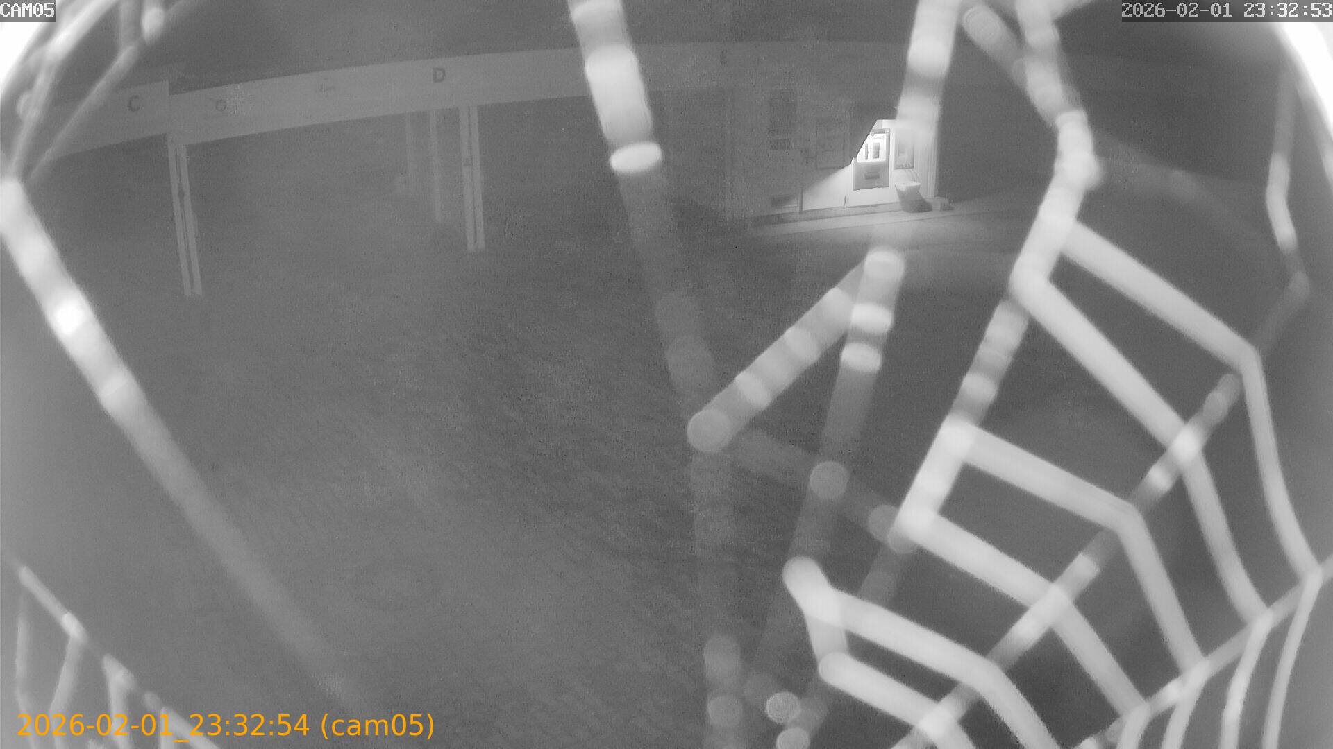 thumbnail_20260201233254