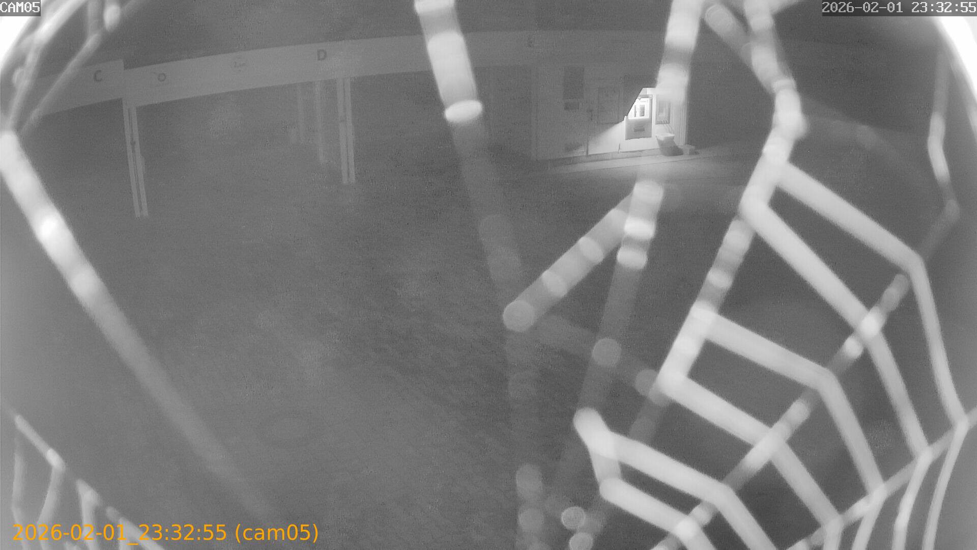 thumbnail_20260201233255