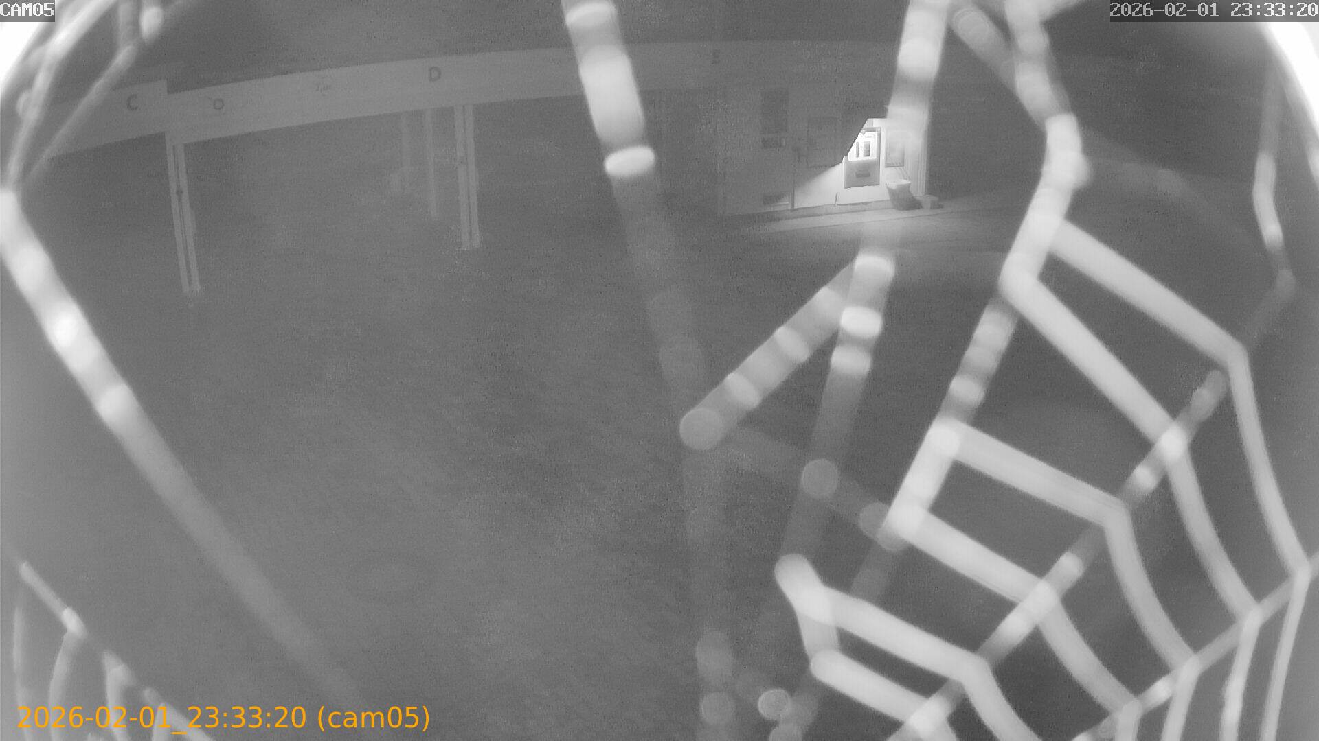 thumbnail_20260201233320