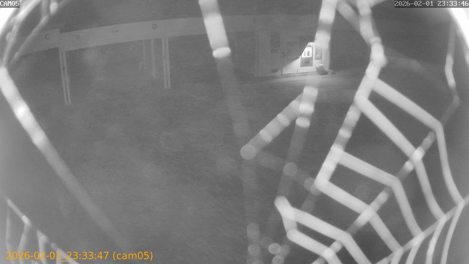 thumbnail_20260201233347