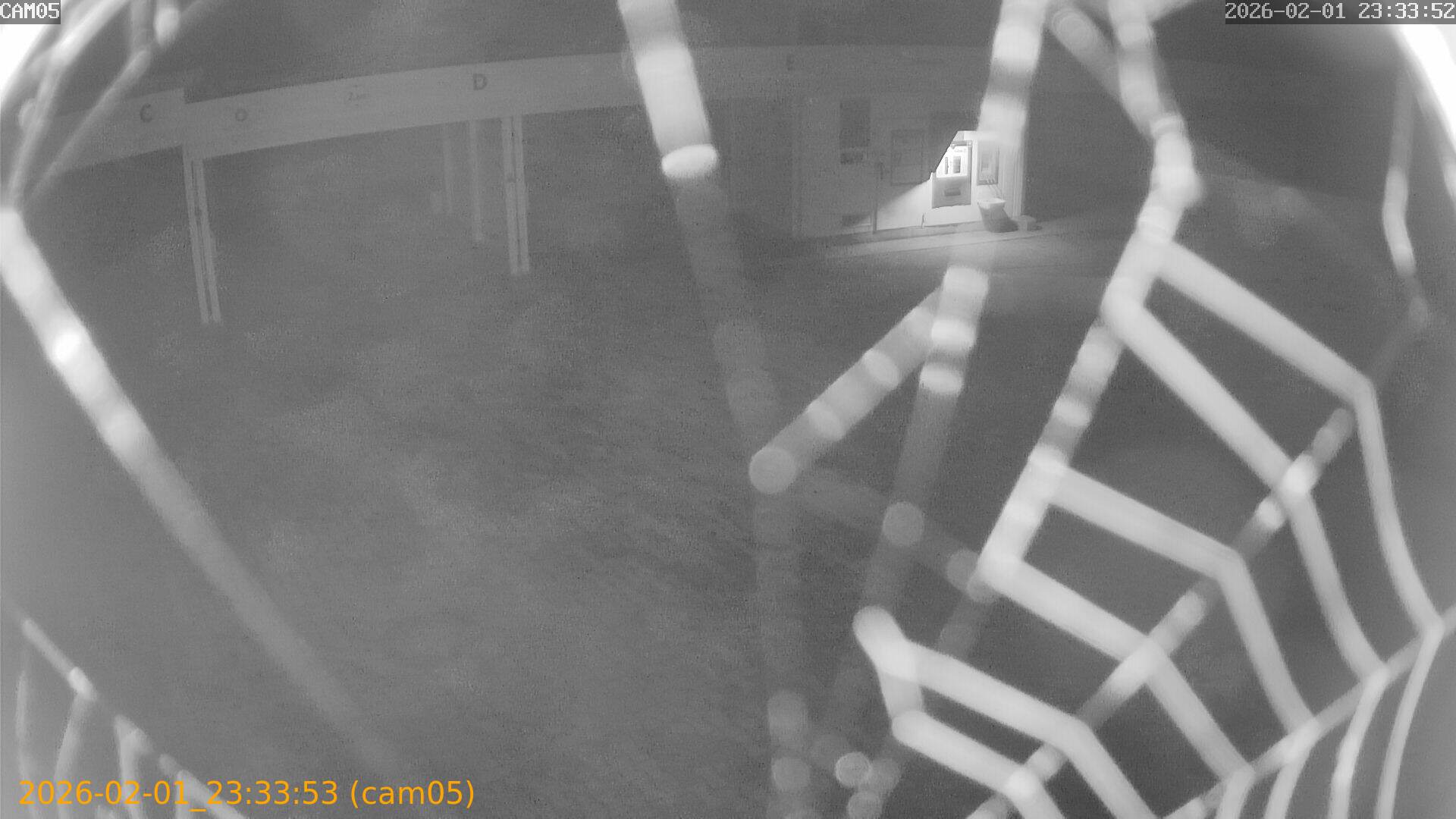 thumbnail_20260201233353