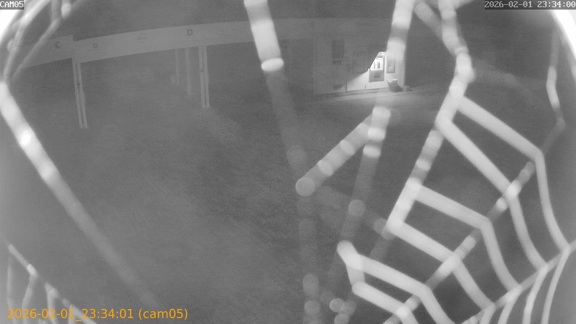 thumbnail_20260201233401