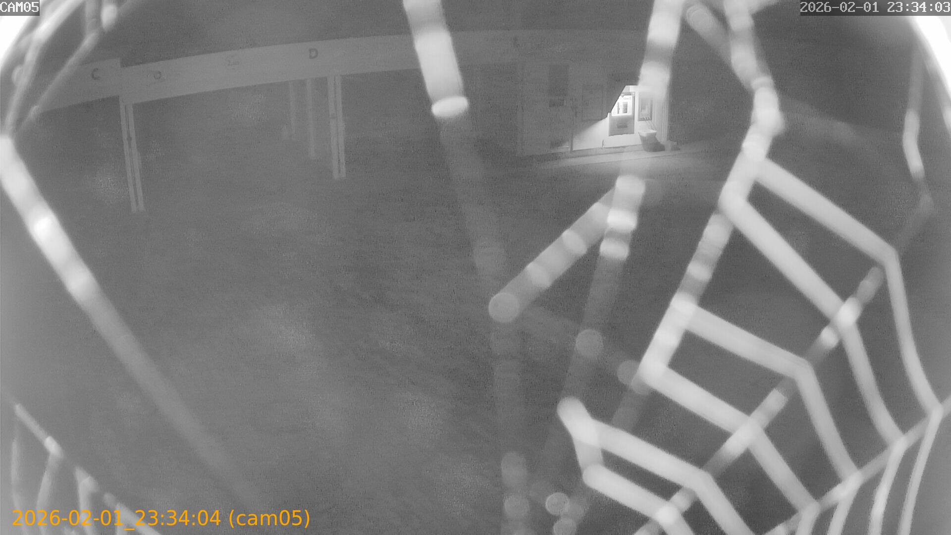 thumbnail_20260201233404