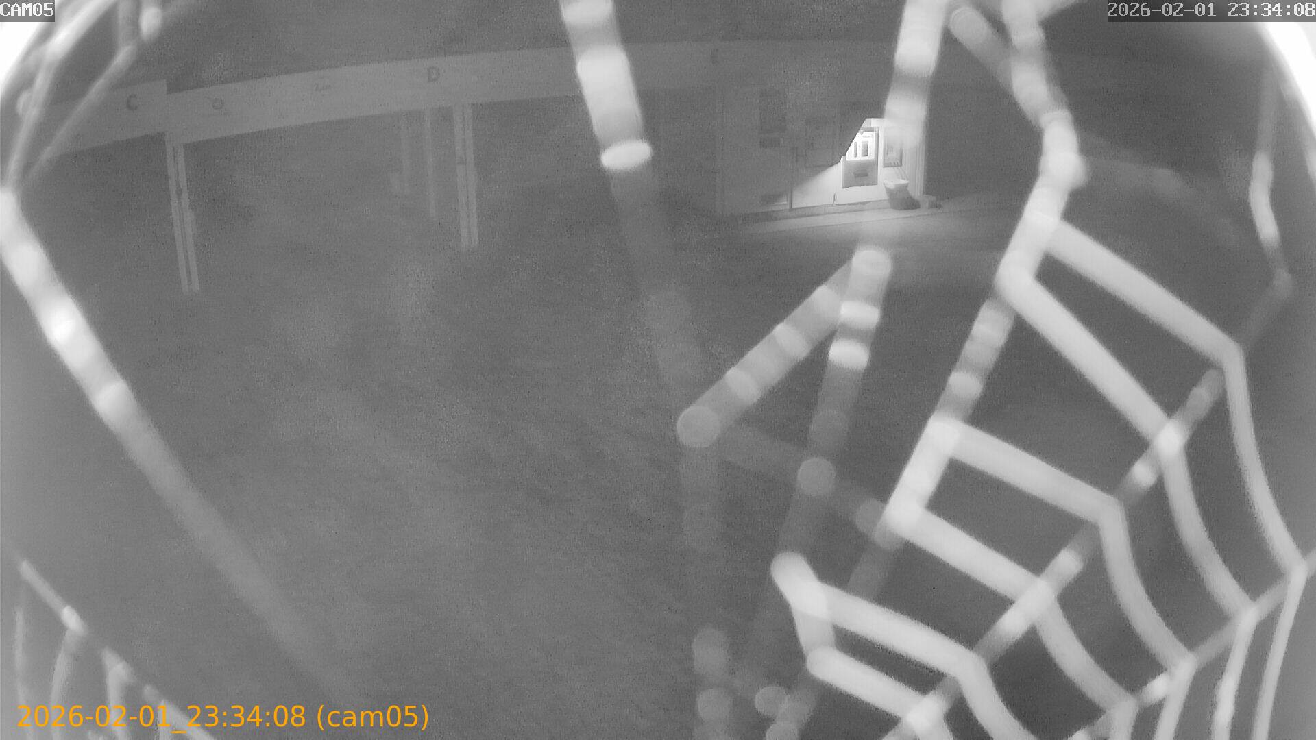 thumbnail_20260201233408