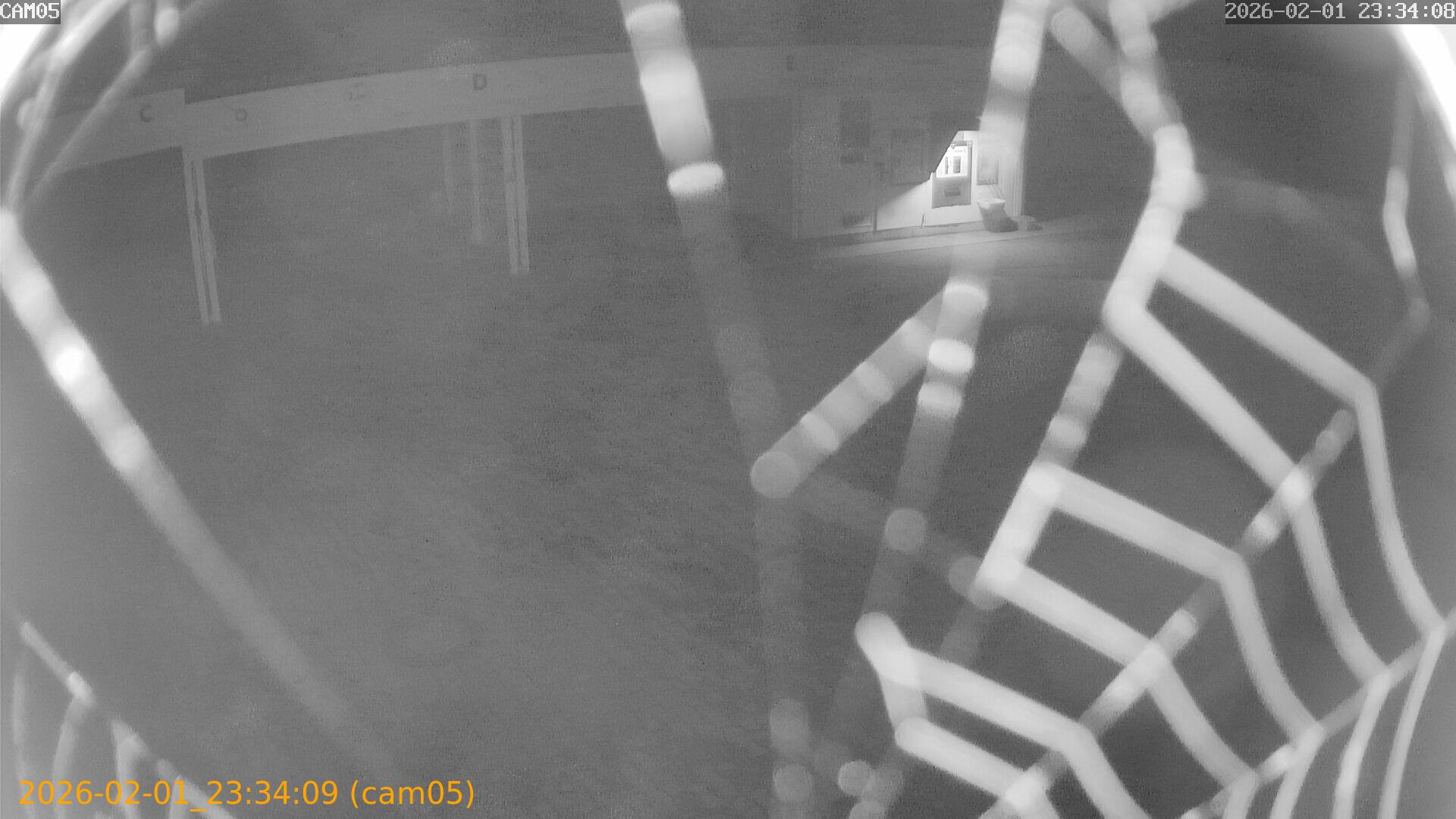 thumbnail_20260201233409