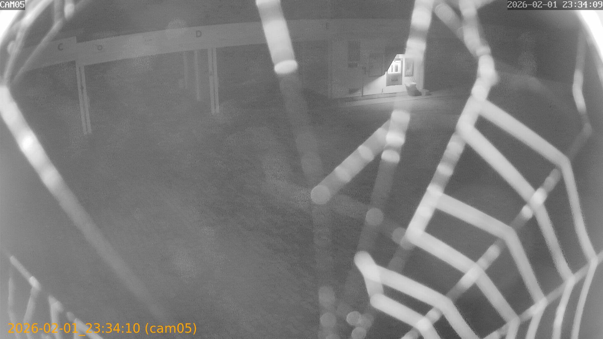 thumbnail_20260201233410