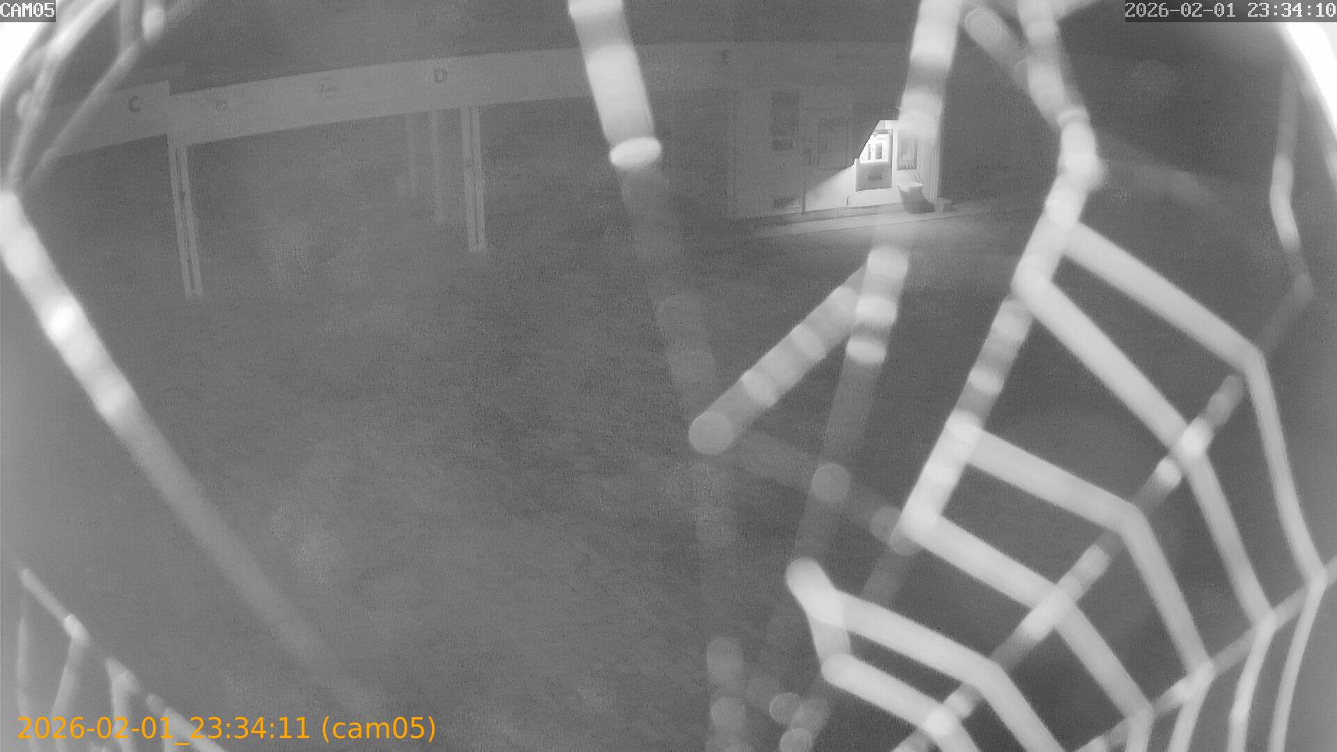 thumbnail_20260201233411