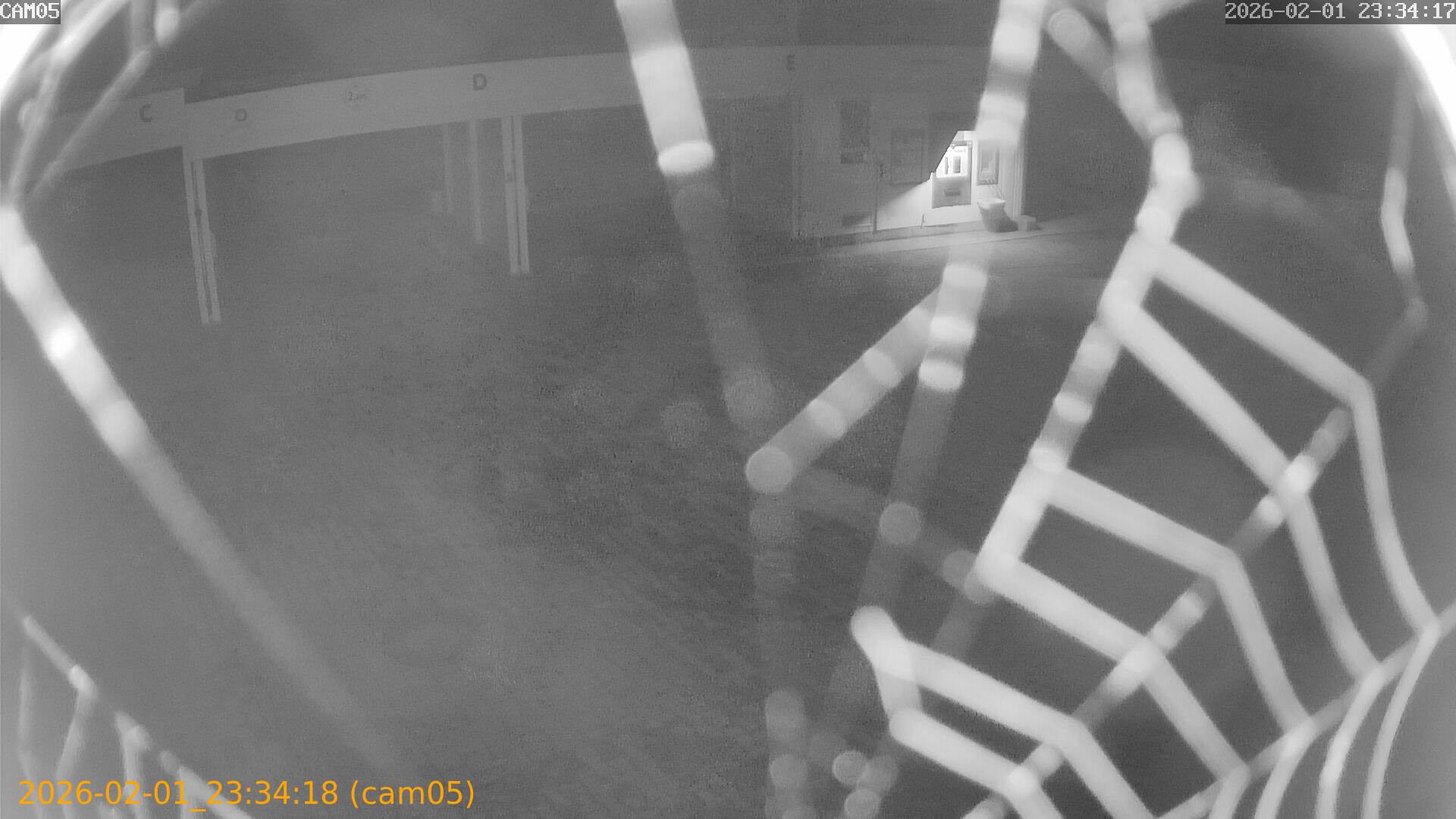 thumbnail_20260201233418