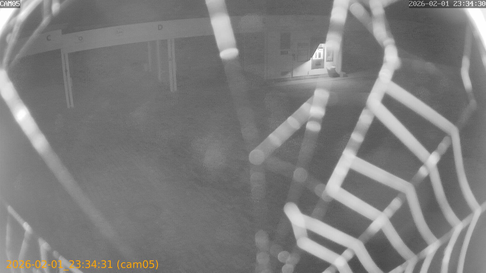 thumbnail_20260201233431