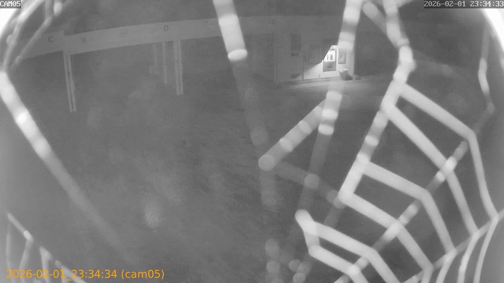 thumbnail_20260201233434