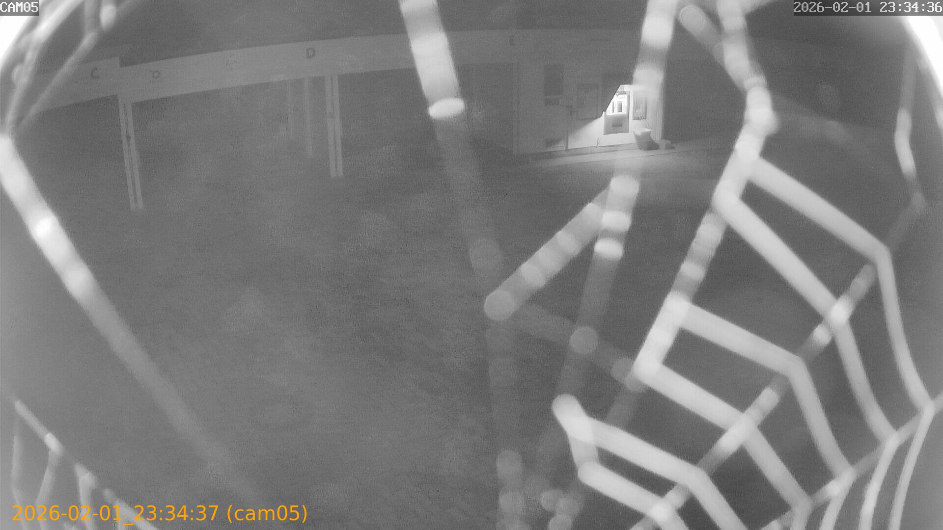 thumbnail_20260201233437