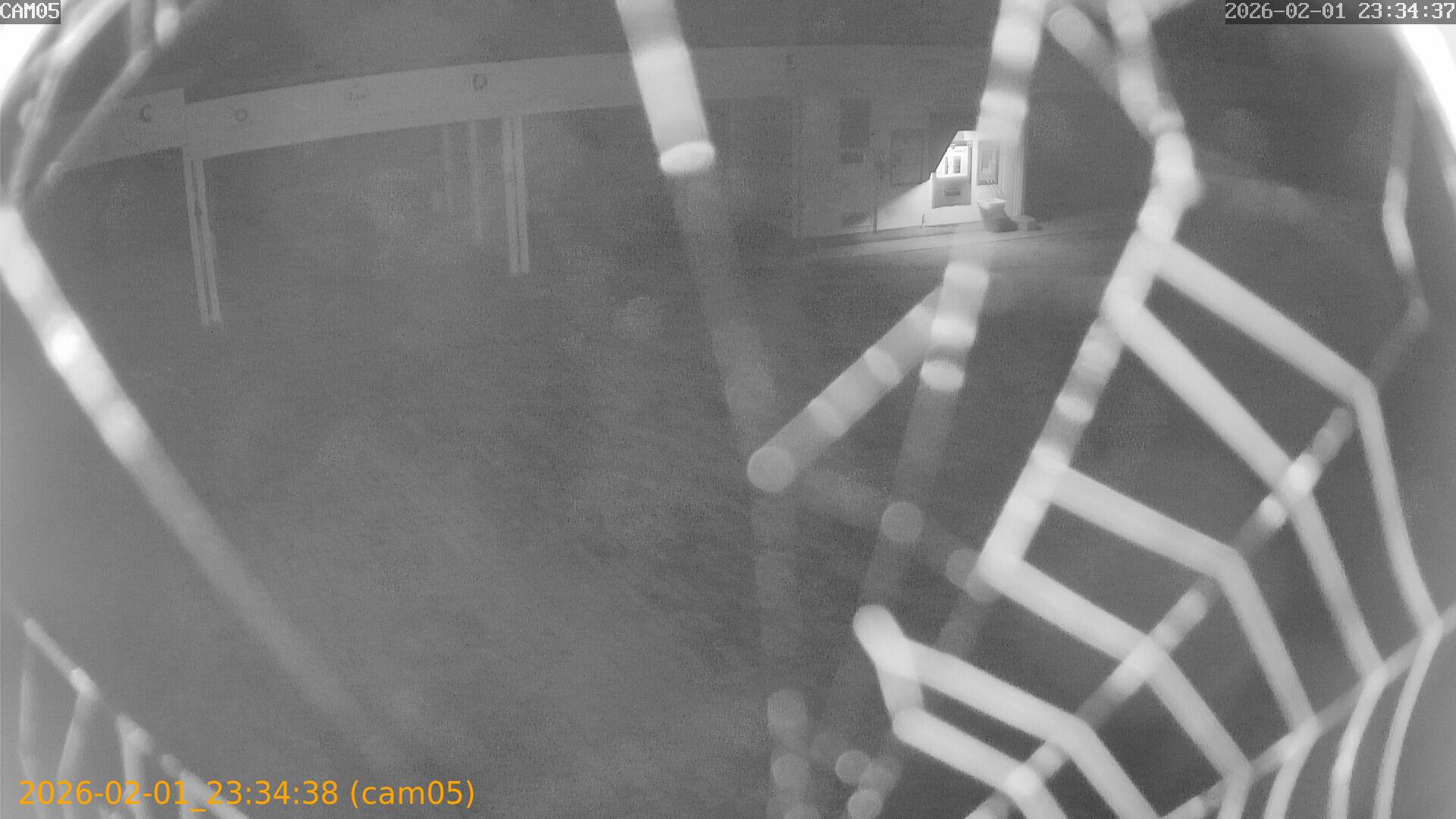 thumbnail_20260201233438