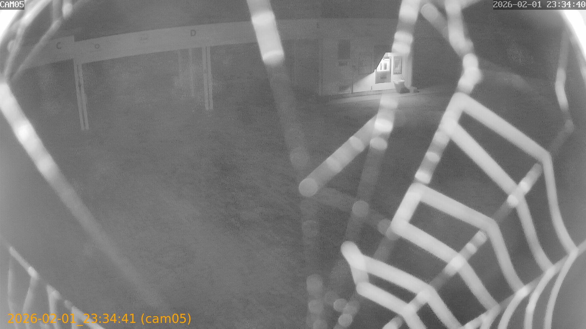 thumbnail_20260201233441