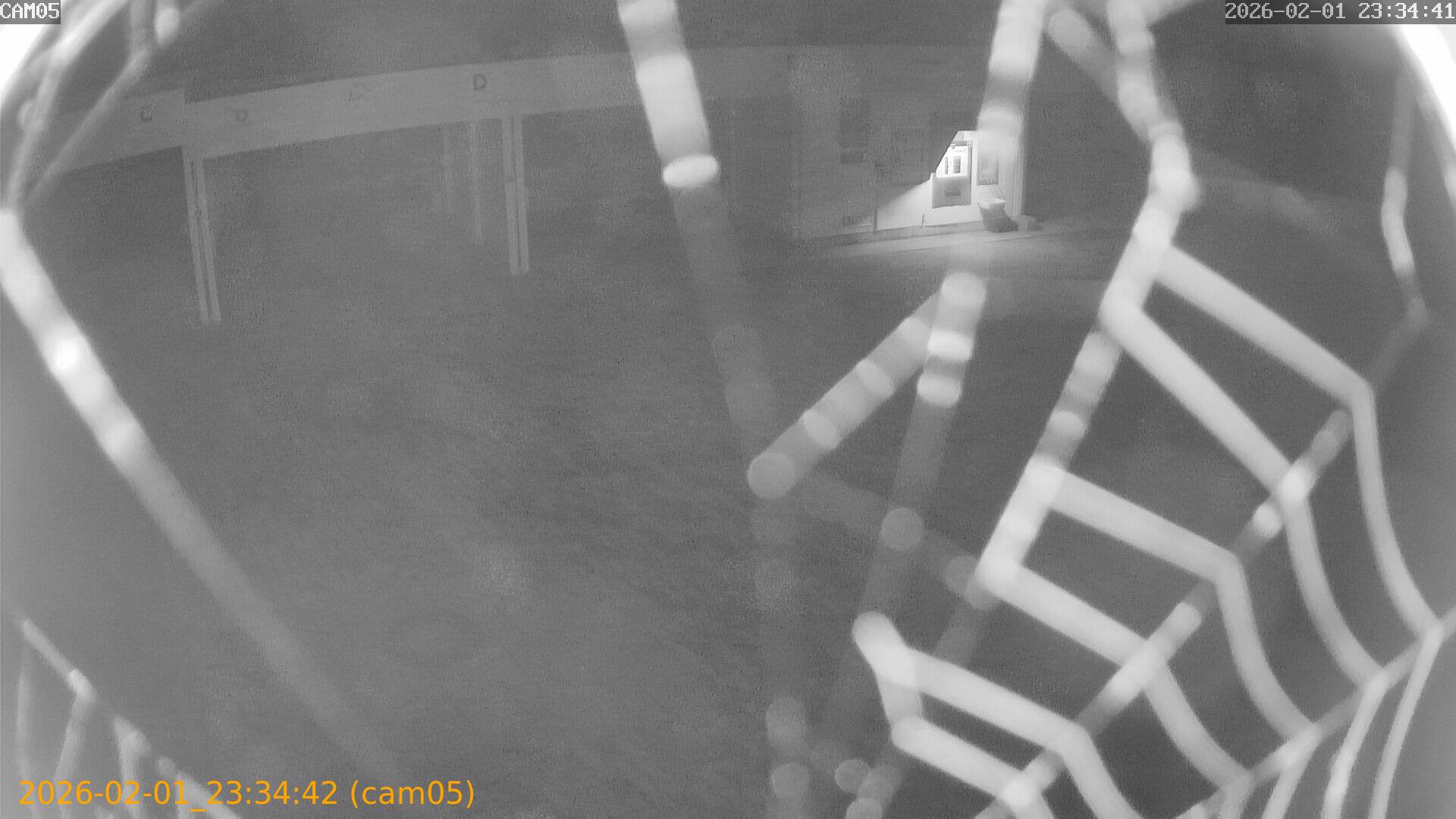 thumbnail_20260201233442