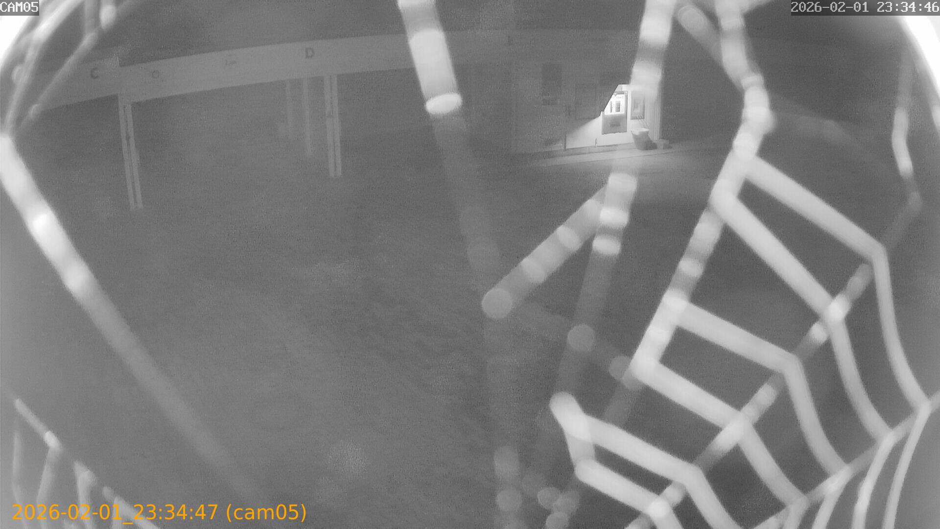 thumbnail_20260201233447