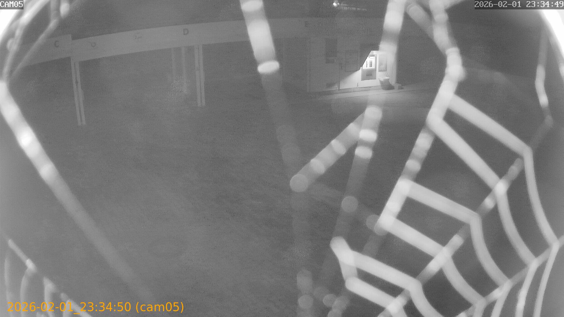 thumbnail_20260201233450