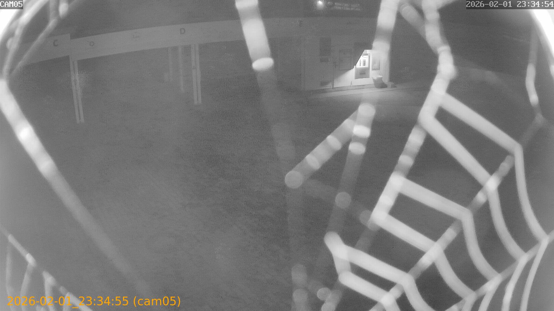 thumbnail_20260201233455