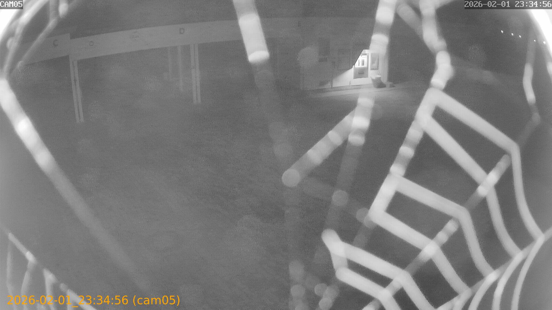 thumbnail_20260201233456