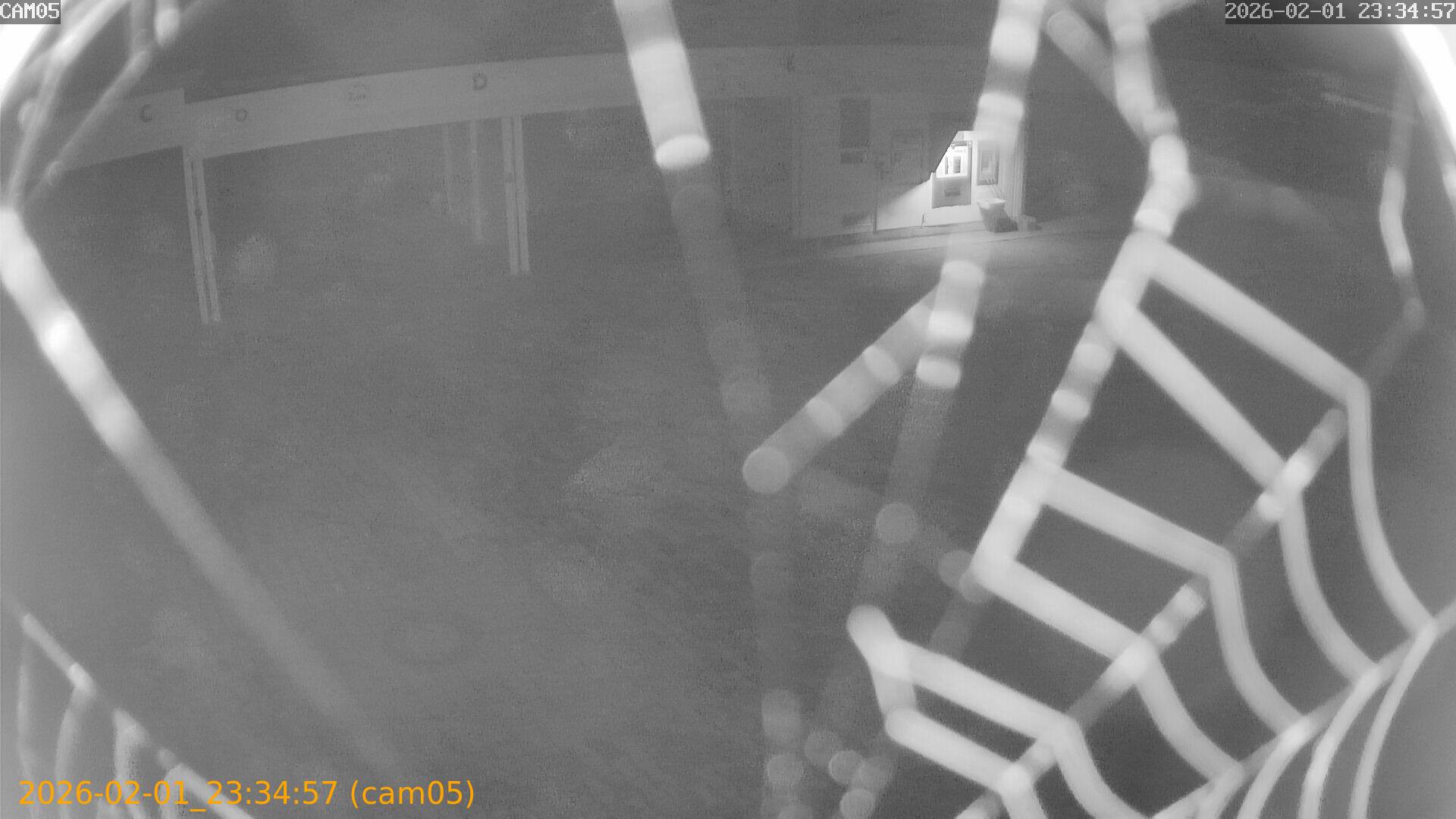 thumbnail_20260201233457