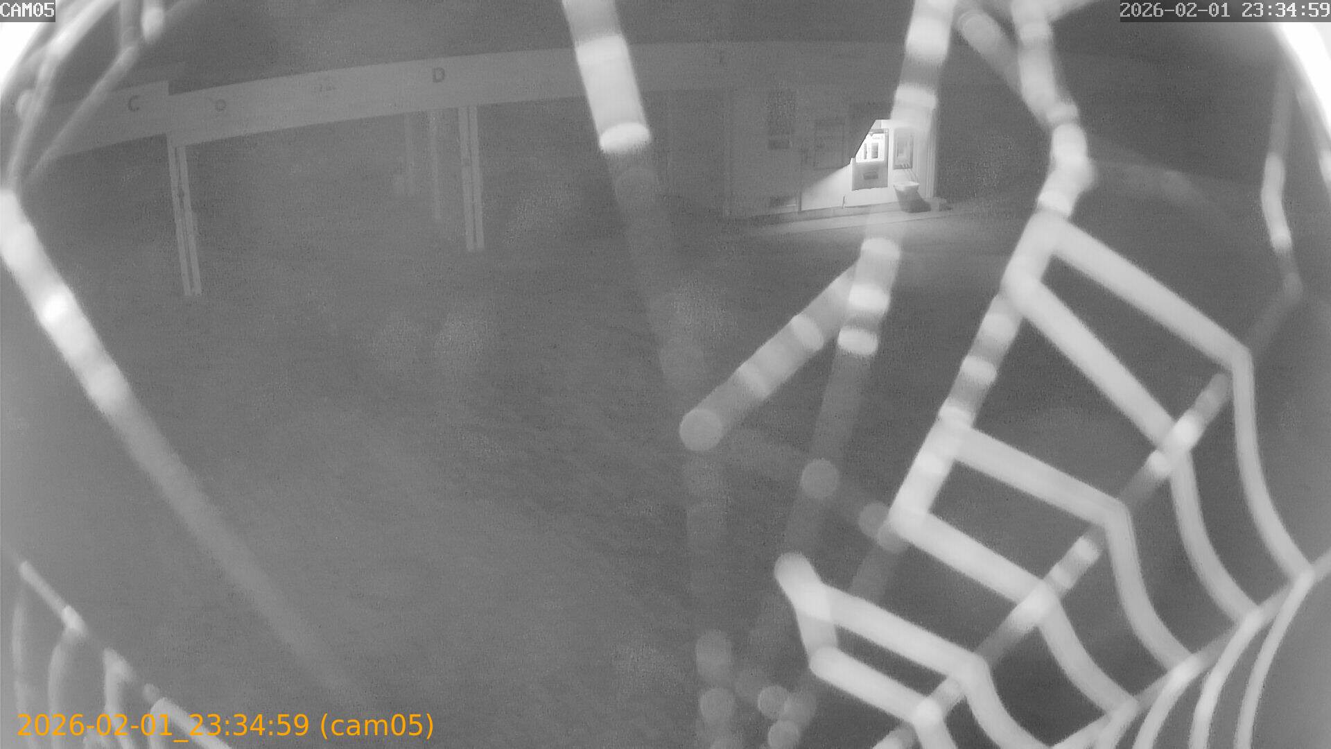 thumbnail_20260201233459