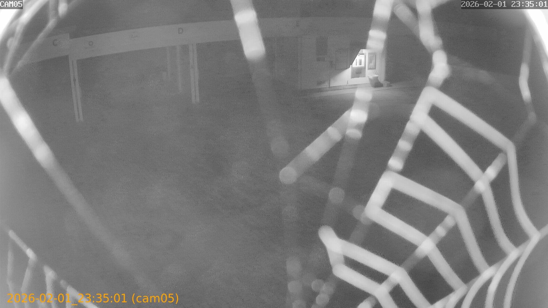 thumbnail_20260201233501