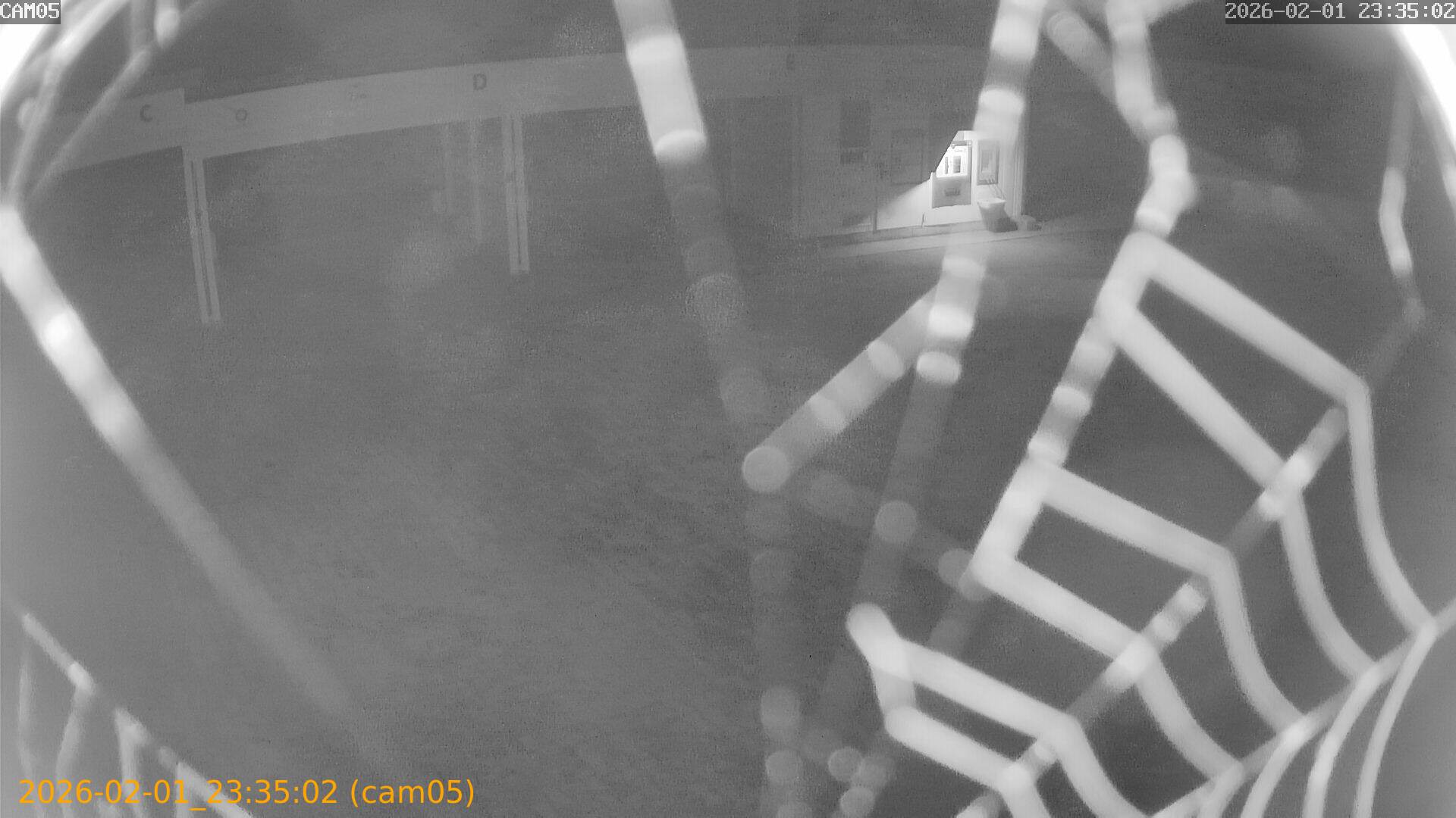 thumbnail_20260201233502