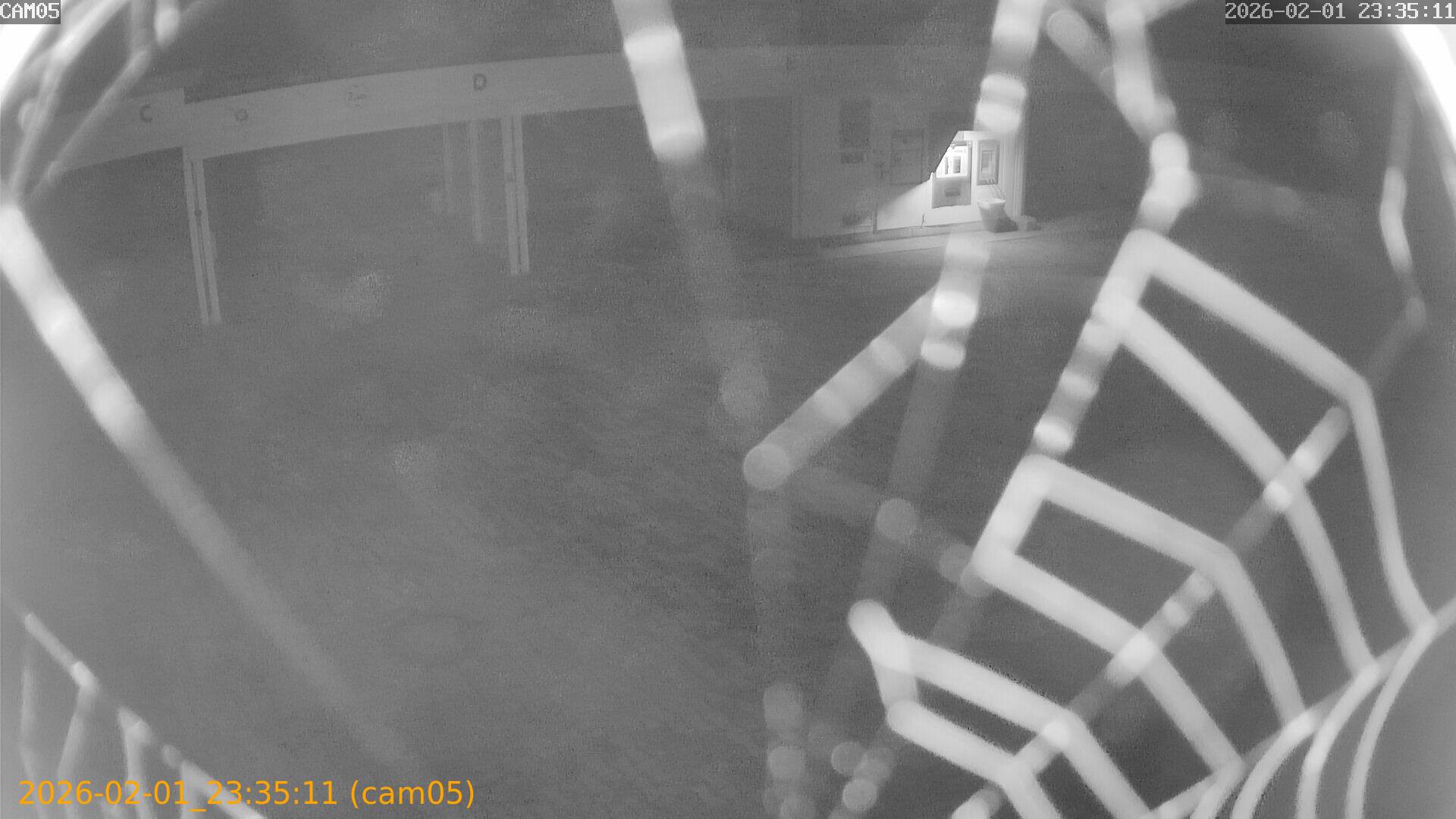 thumbnail_20260201233511