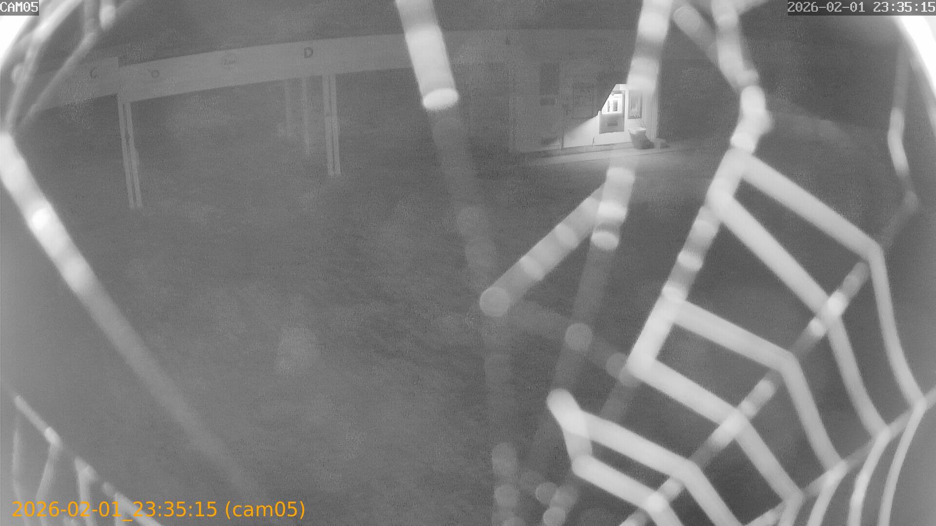 thumbnail_20260201233515