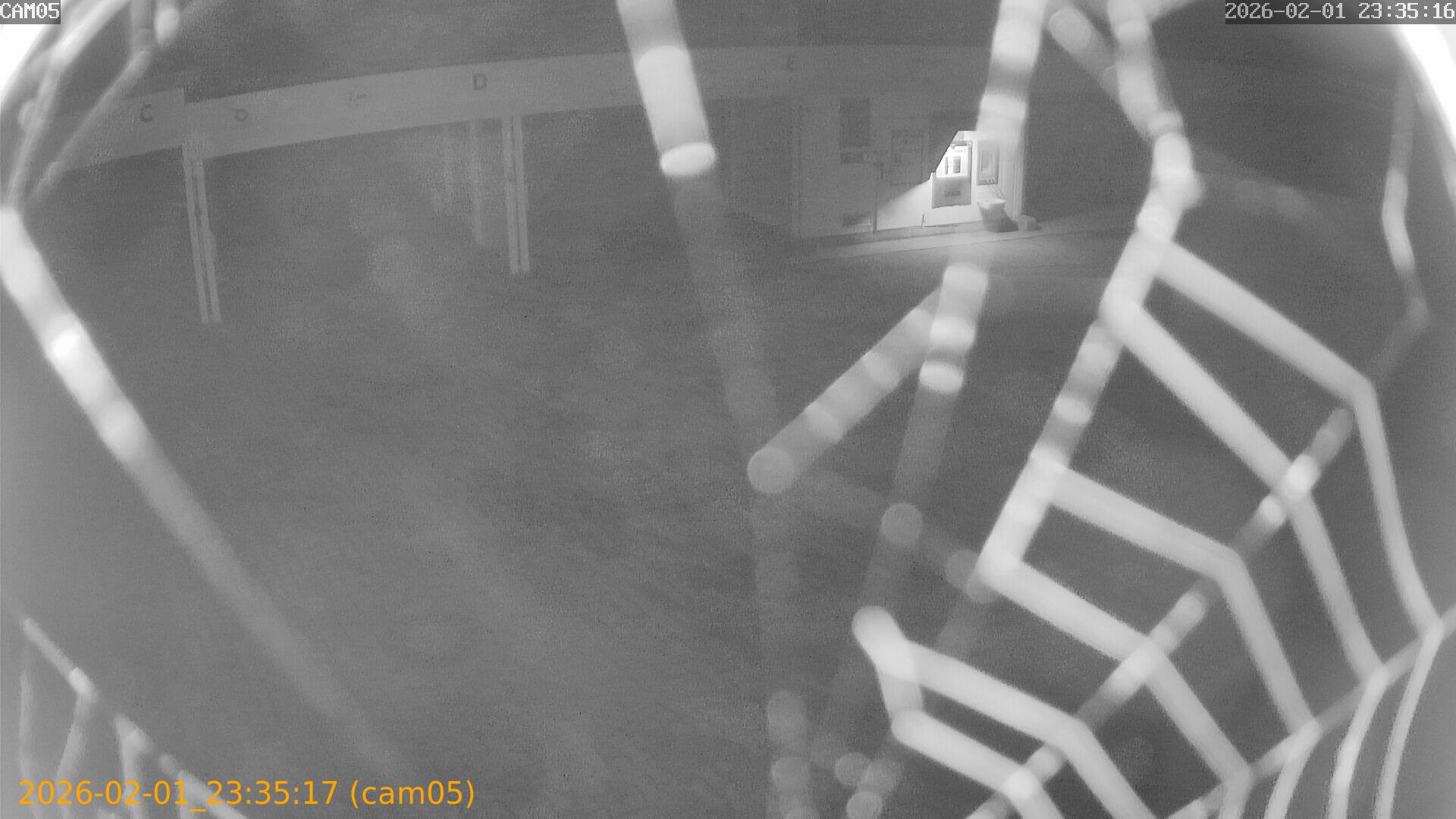 thumbnail_20260201233517