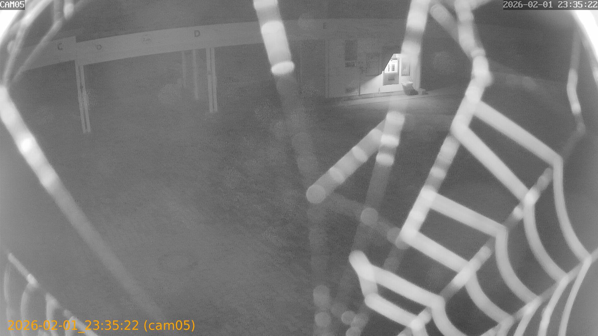 thumbnail_20260201233522