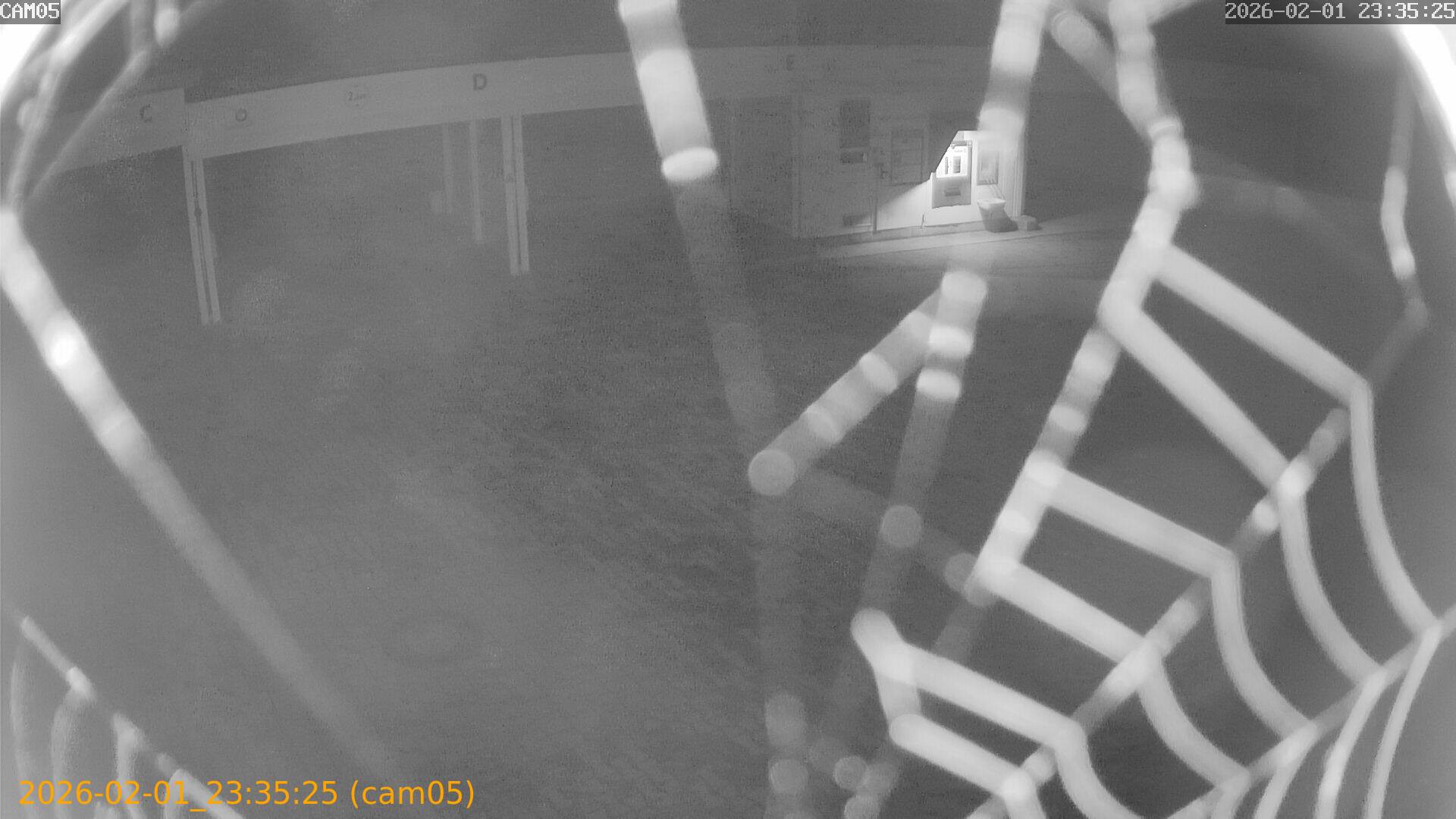 thumbnail_20260201233525