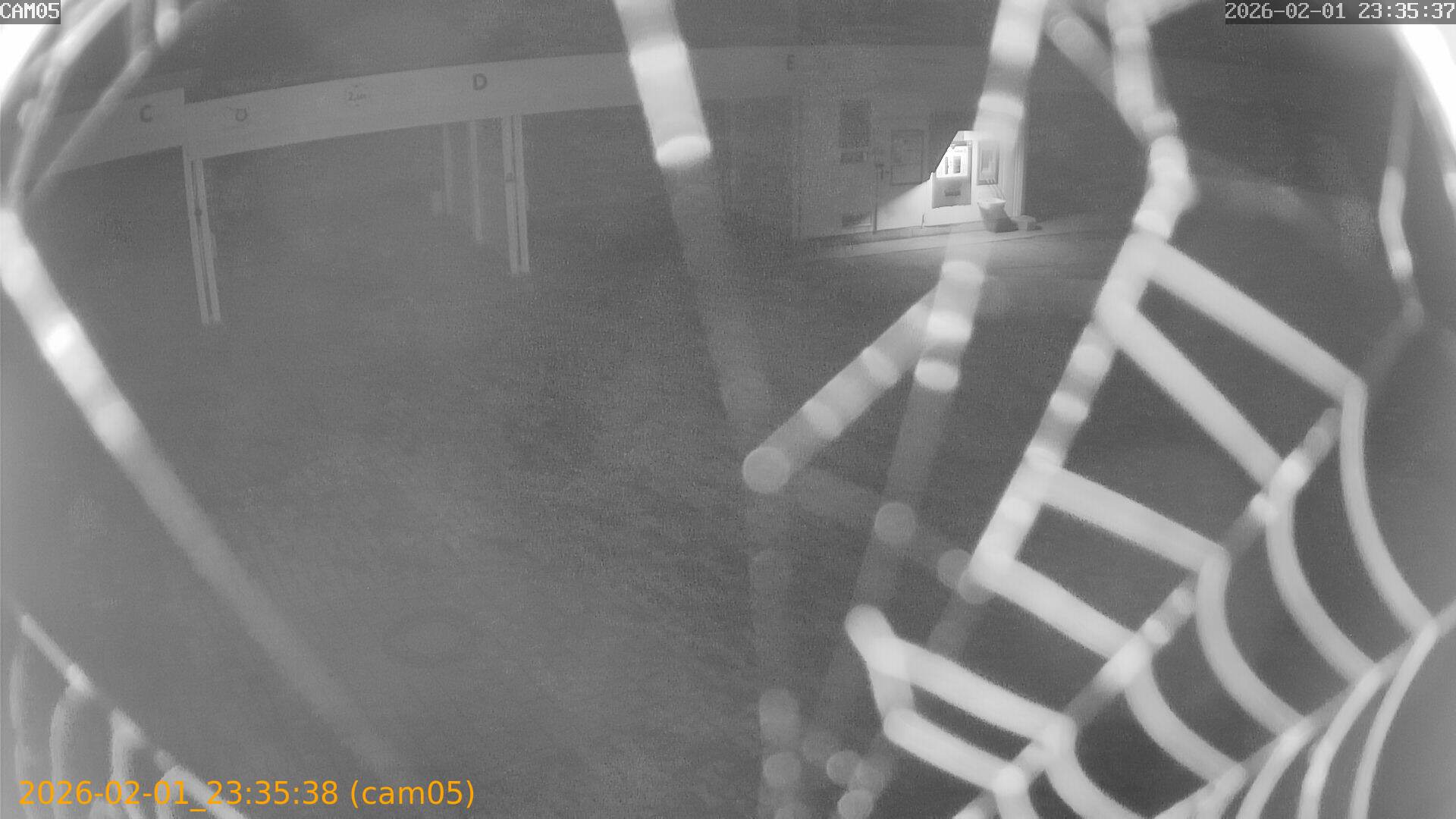 thumbnail_20260201233538